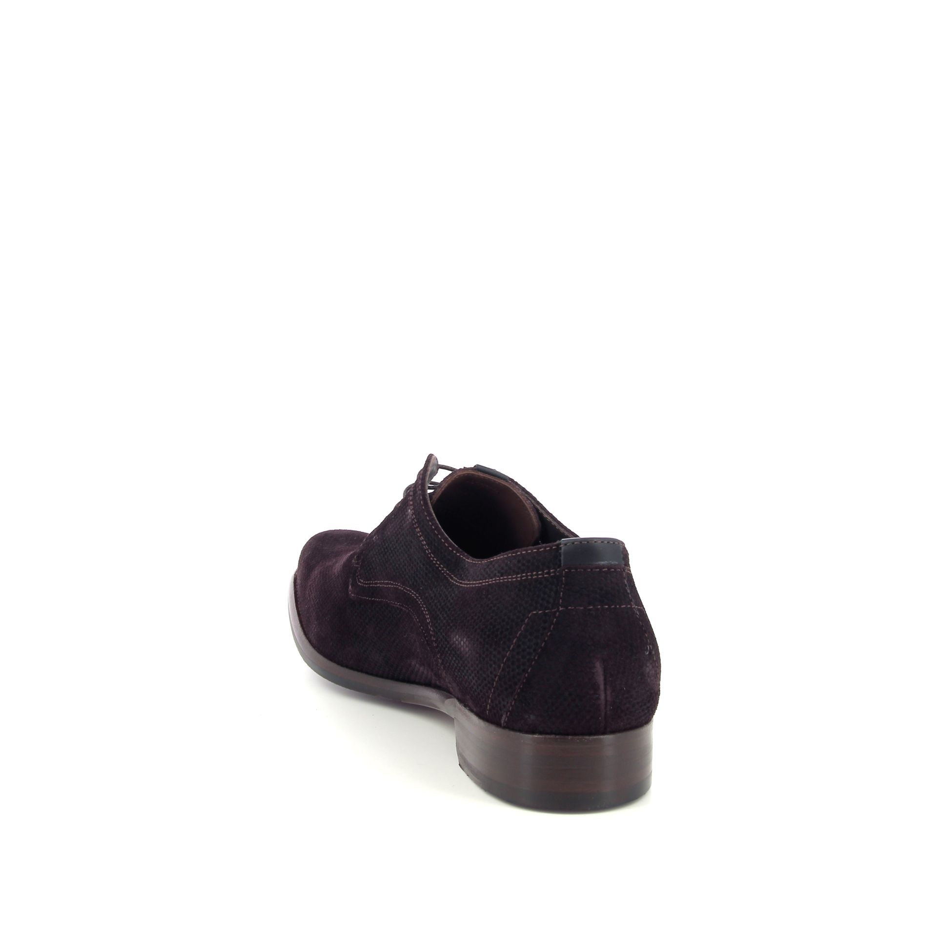 Floris Van Bommel De Draver 03.23 258734 bruin