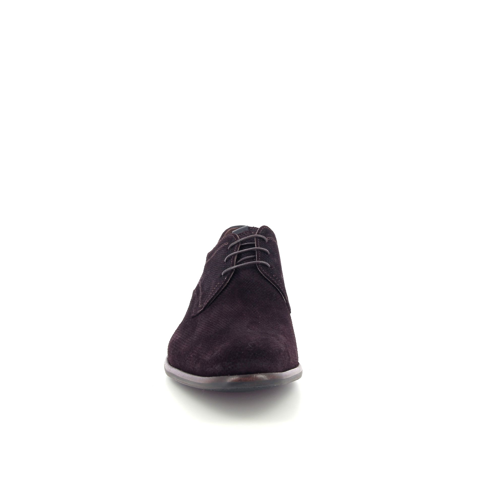 Floris Van Bommel De Draver 03.23 258734 bruin