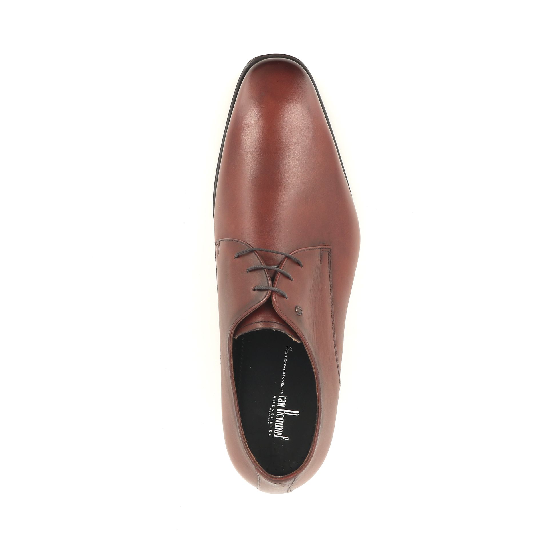 Van Bommel Matra 01.00 258742 cognac
