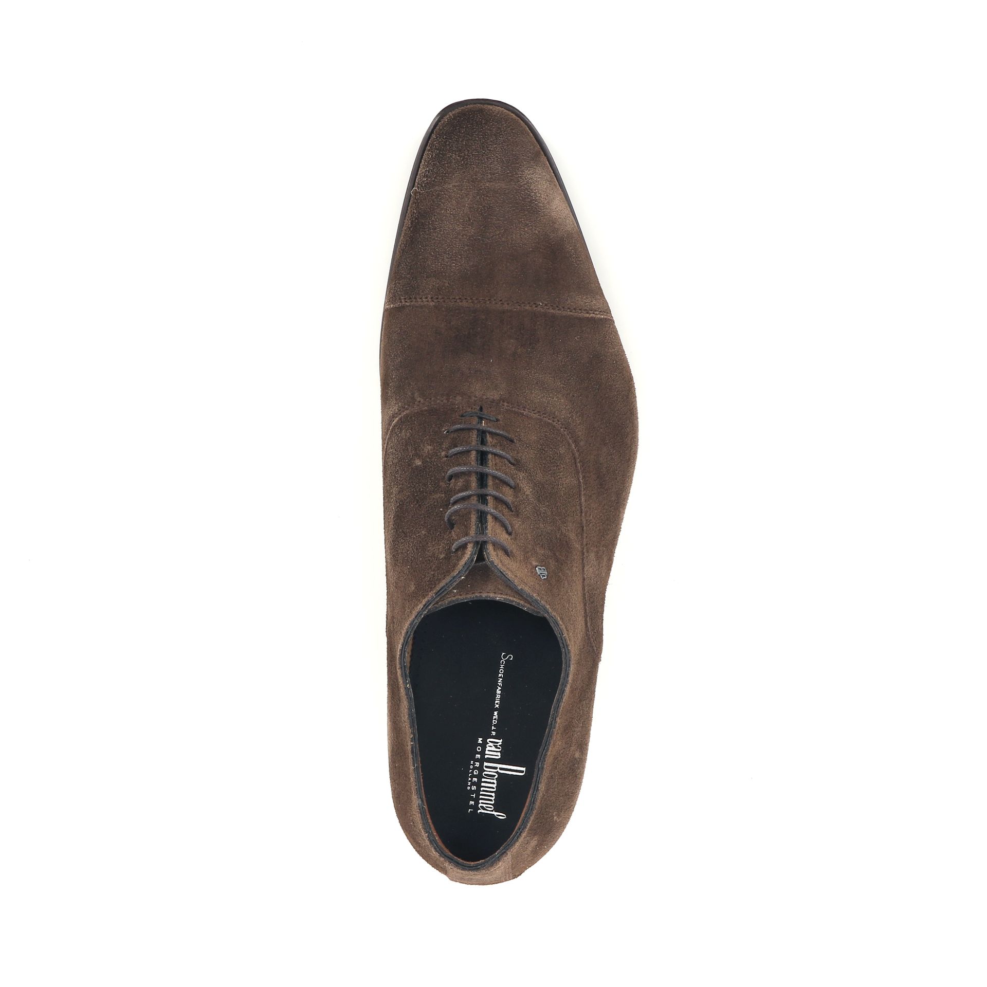 Van Bommel Raffa 02.10 258744 cognac