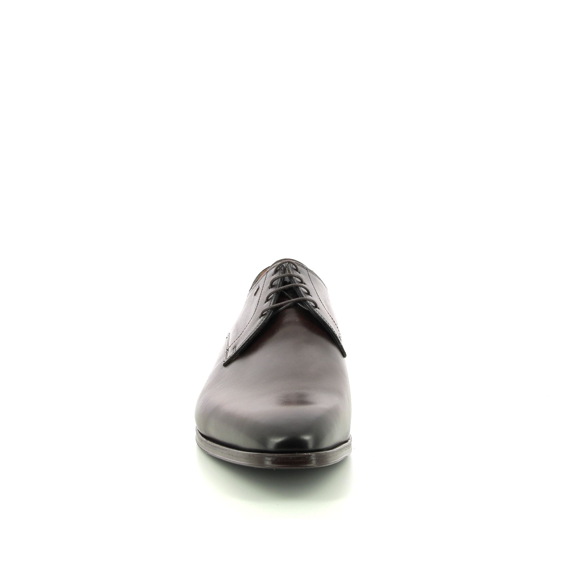 Van Bommel Raffa 03.07 258745 bruin