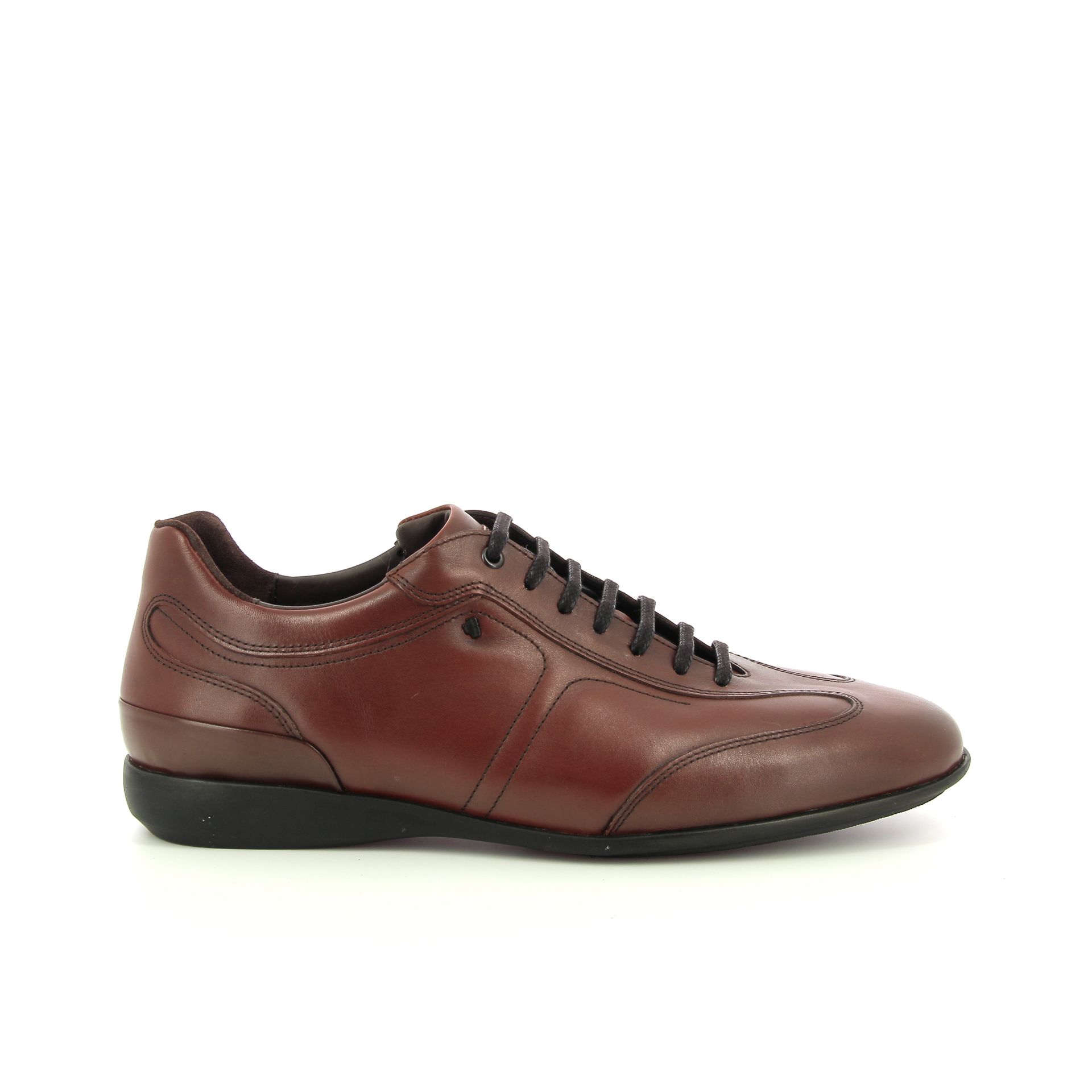 Van Bommel Senna 01.07 258746 cognac
