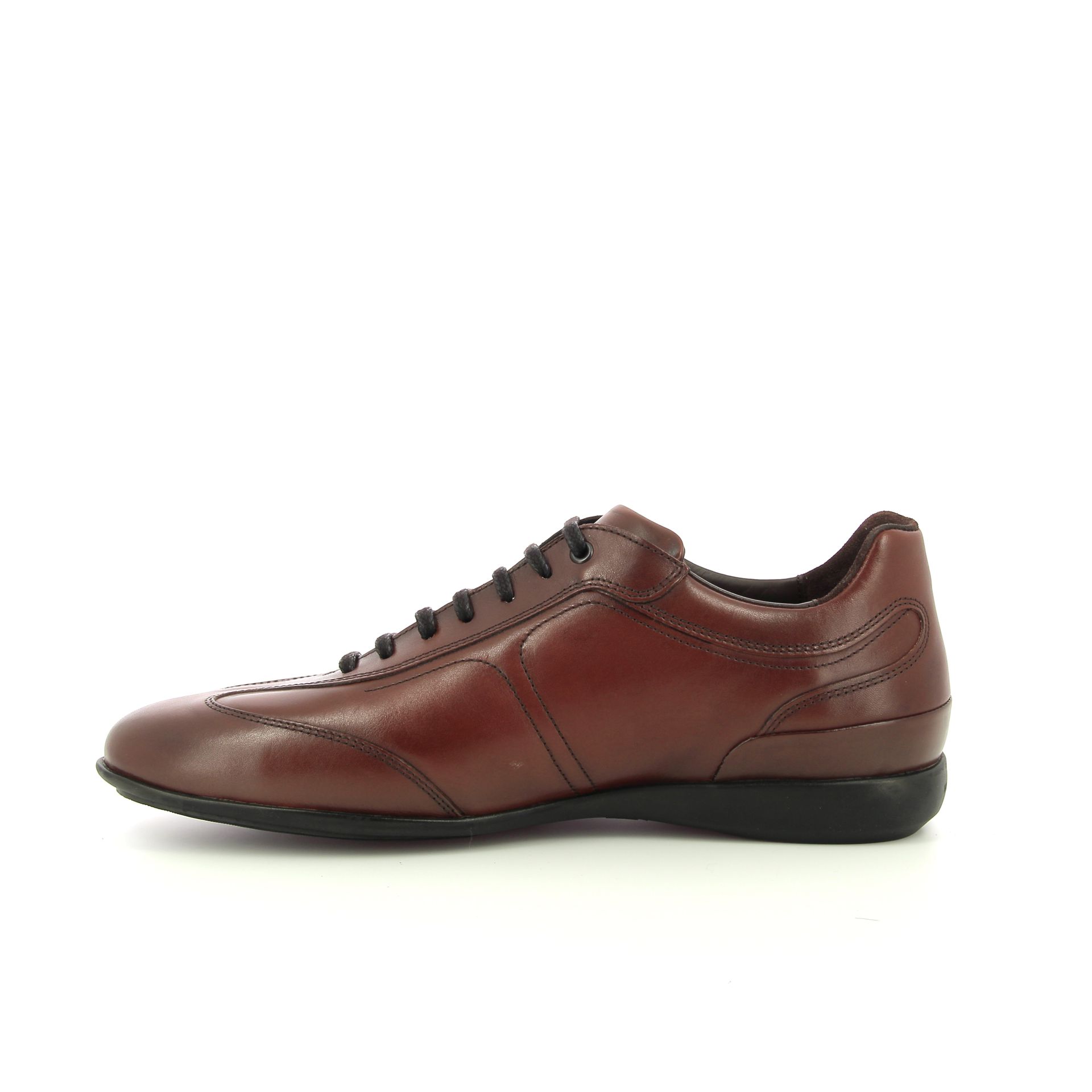 Van Bommel Senna 01.07 258746 cognac