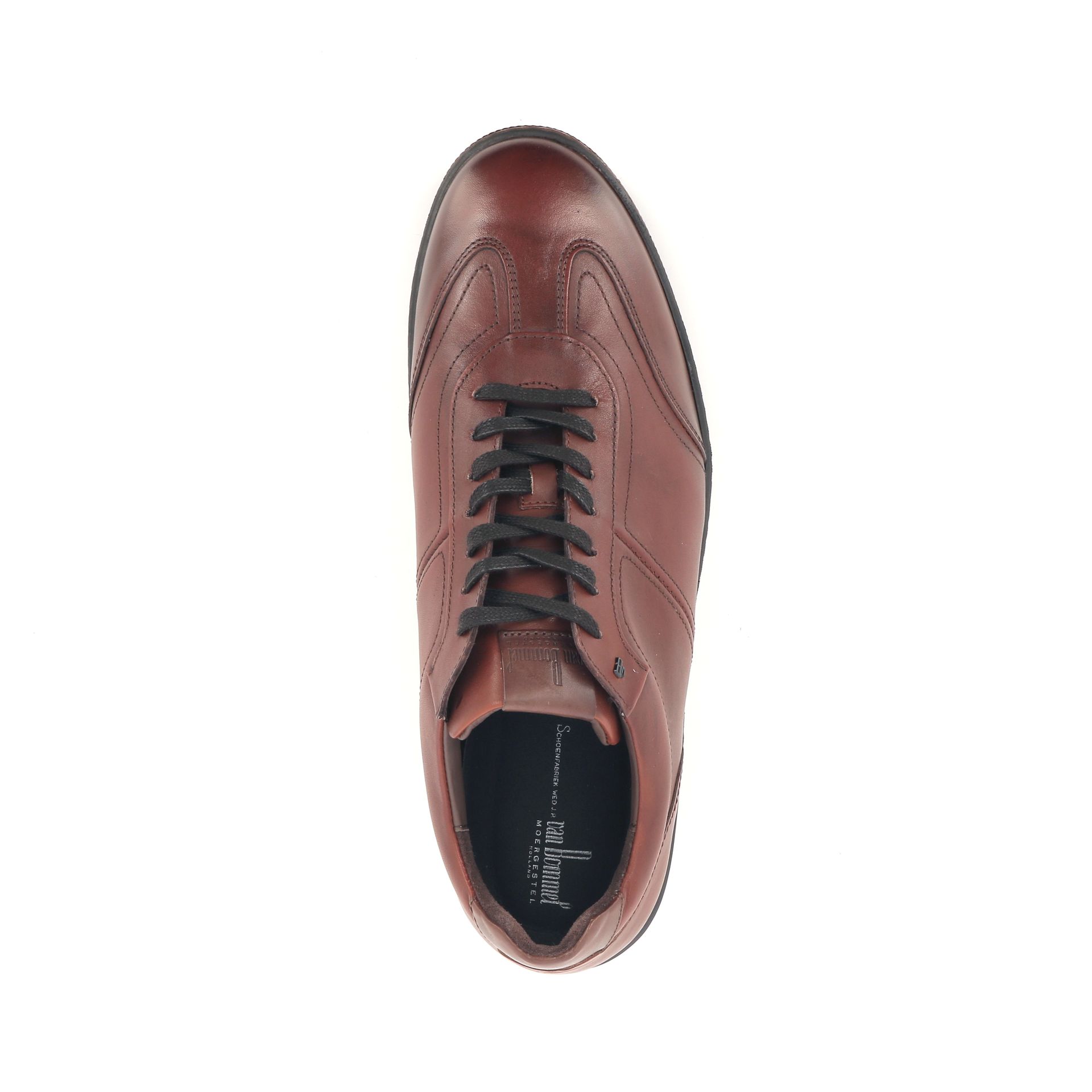 Van Bommel Bora 01.06 258749 cognac