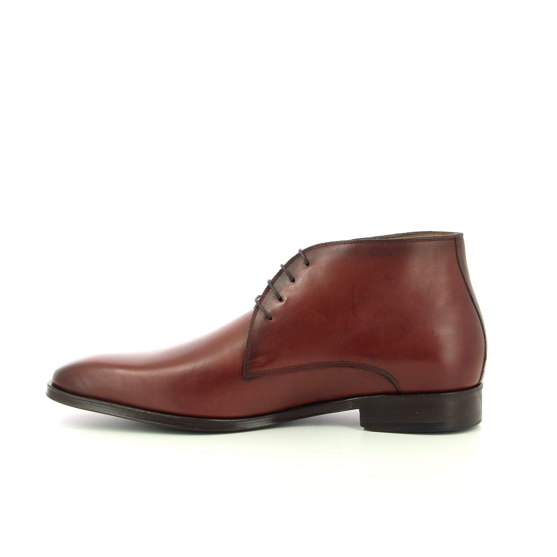 Van Bommel Raffa 258758 cognac