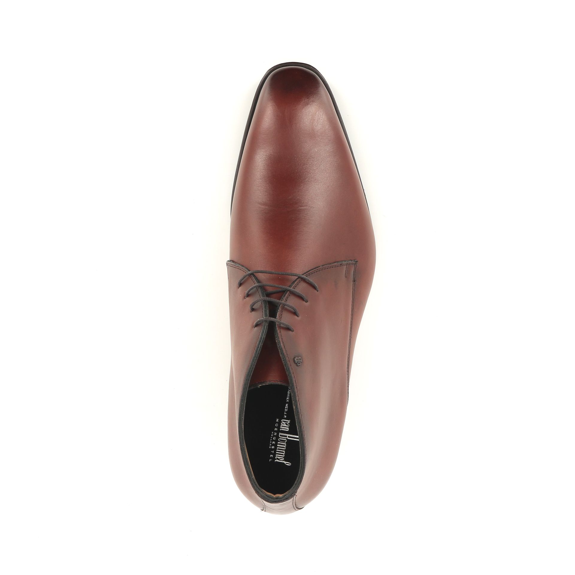 Van Bommel Raffa 258758 cognac
