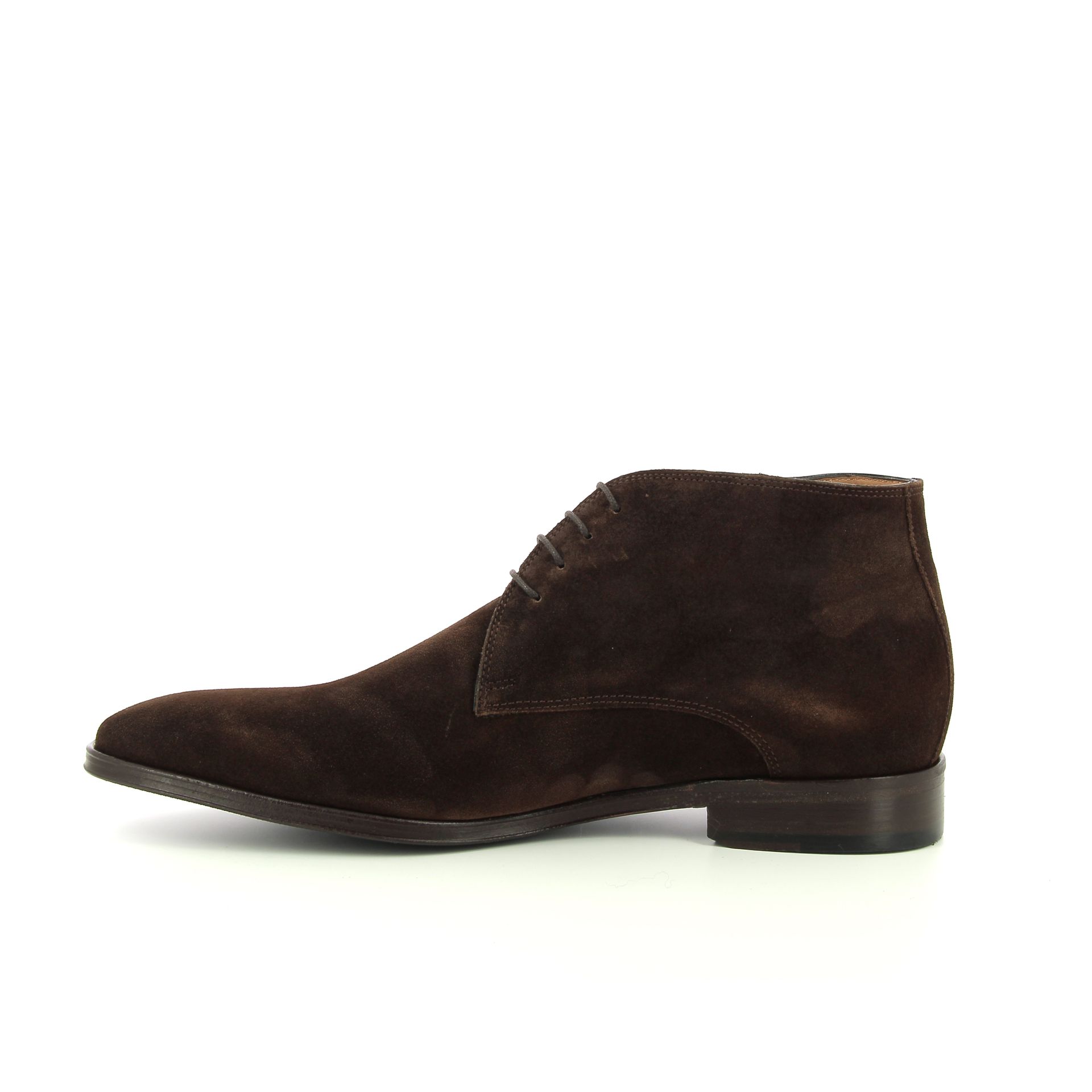 Van Bommel Raffa 05.09 258759 cognac