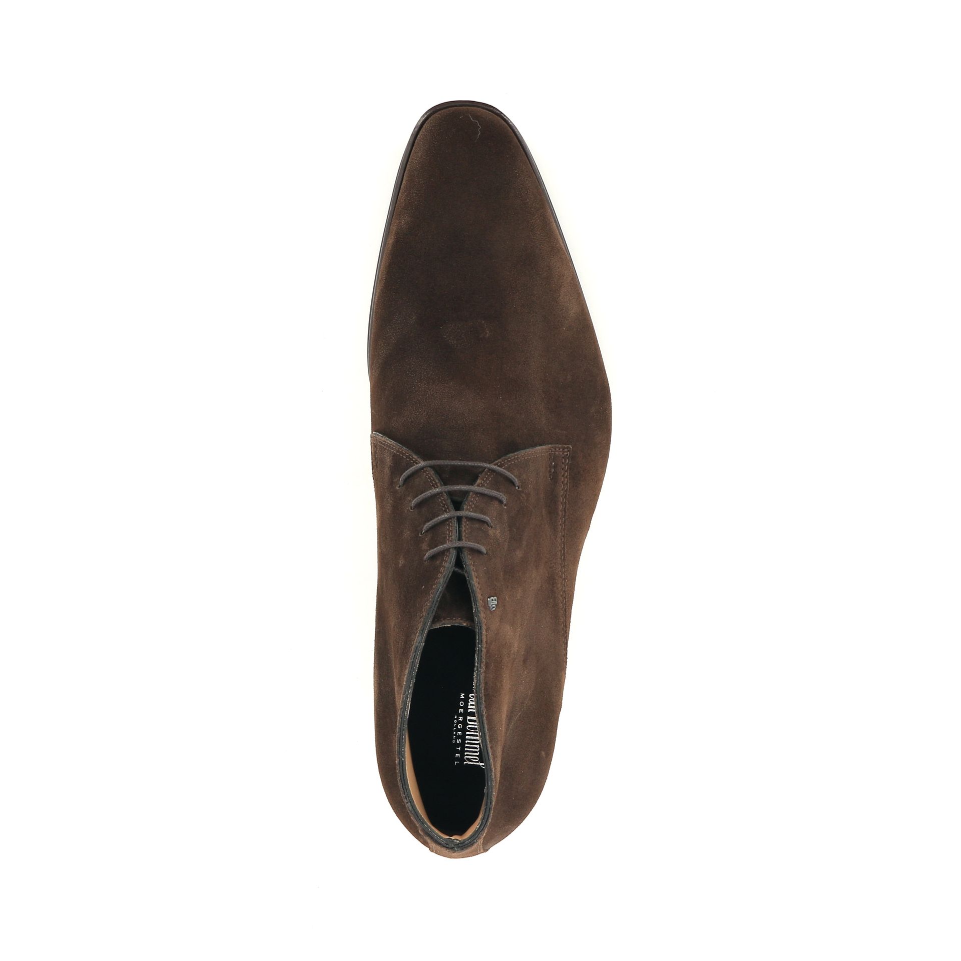 Van Bommel Raffa 05.09 258759 cognac