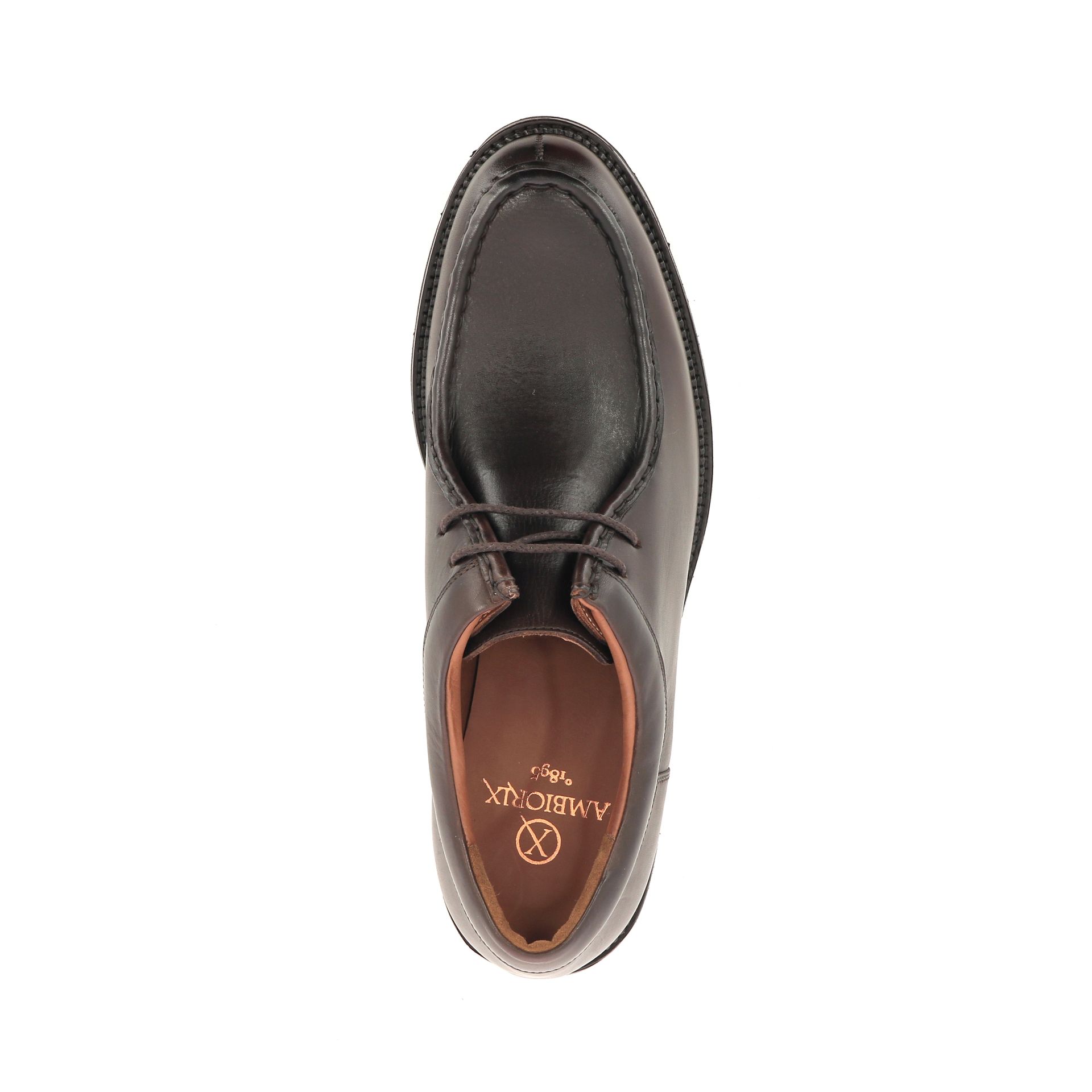 Ambiorix Pisco 258802 bruin