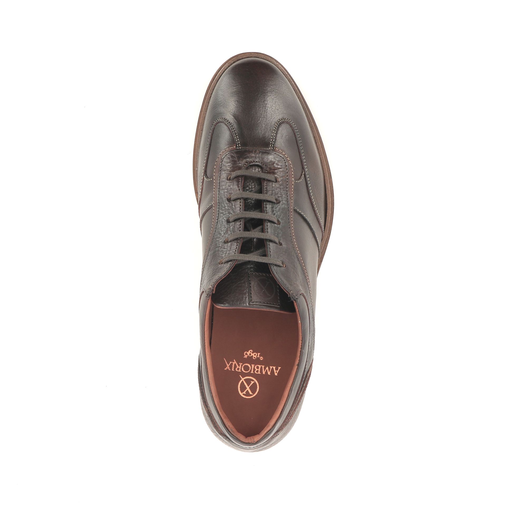 Ambiorix Padell 258804 bruin