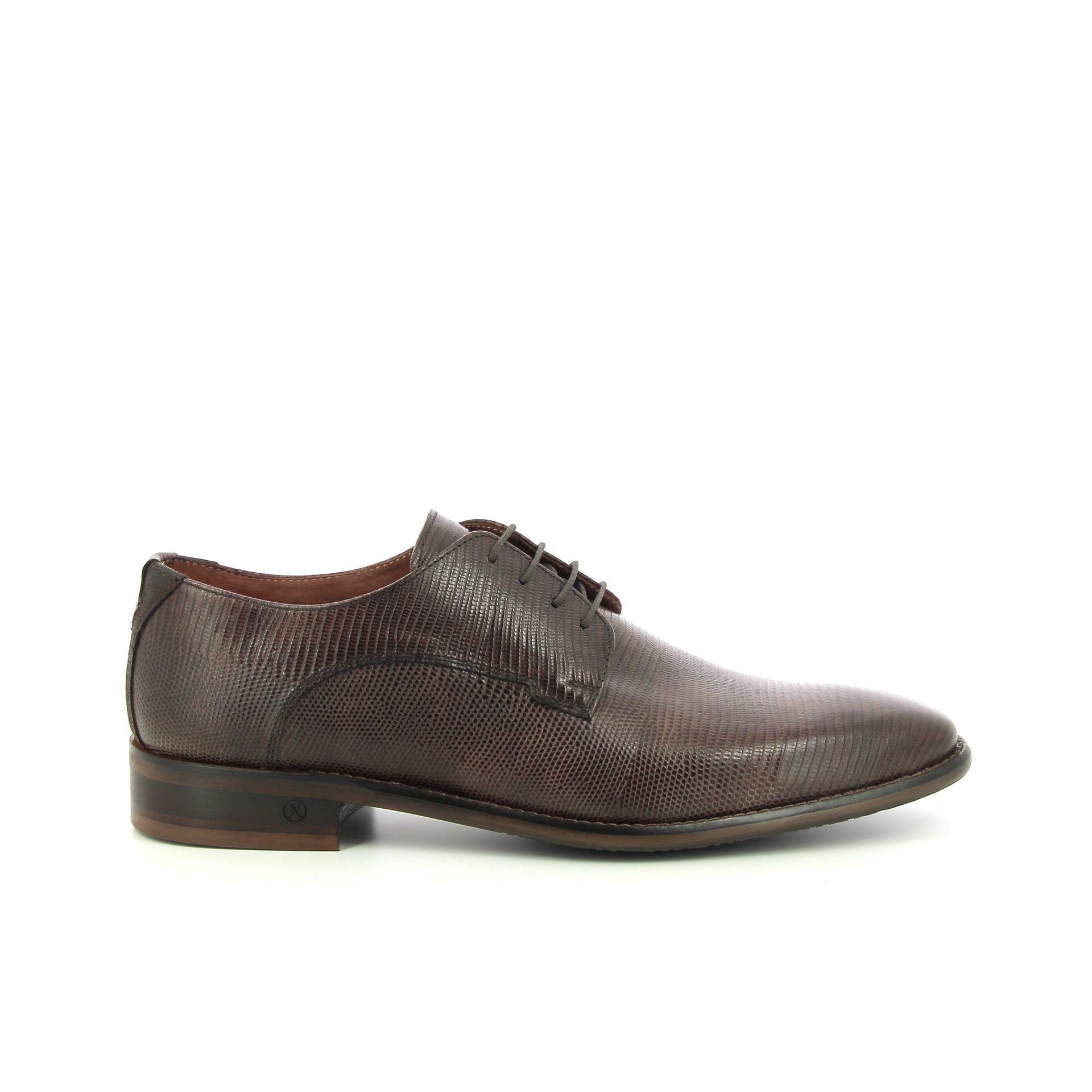 Ambiorix Jurassic 258805 bruin
