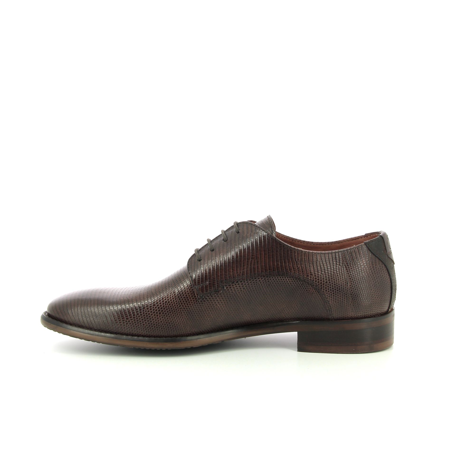Ambiorix Jurassic 258805 bruin