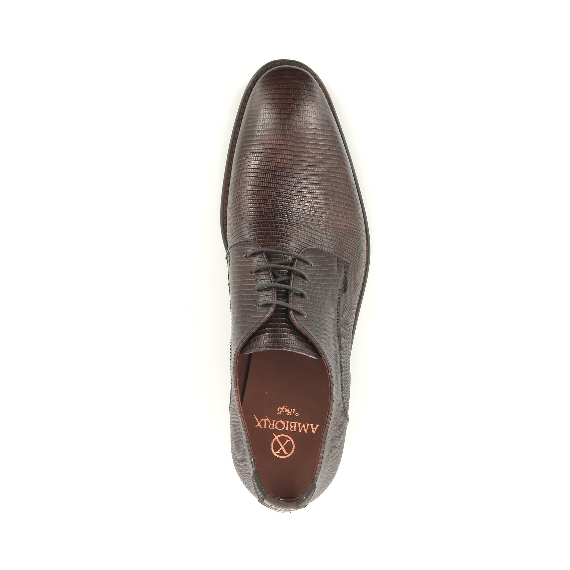 Ambiorix Jurassic 258805 bruin
