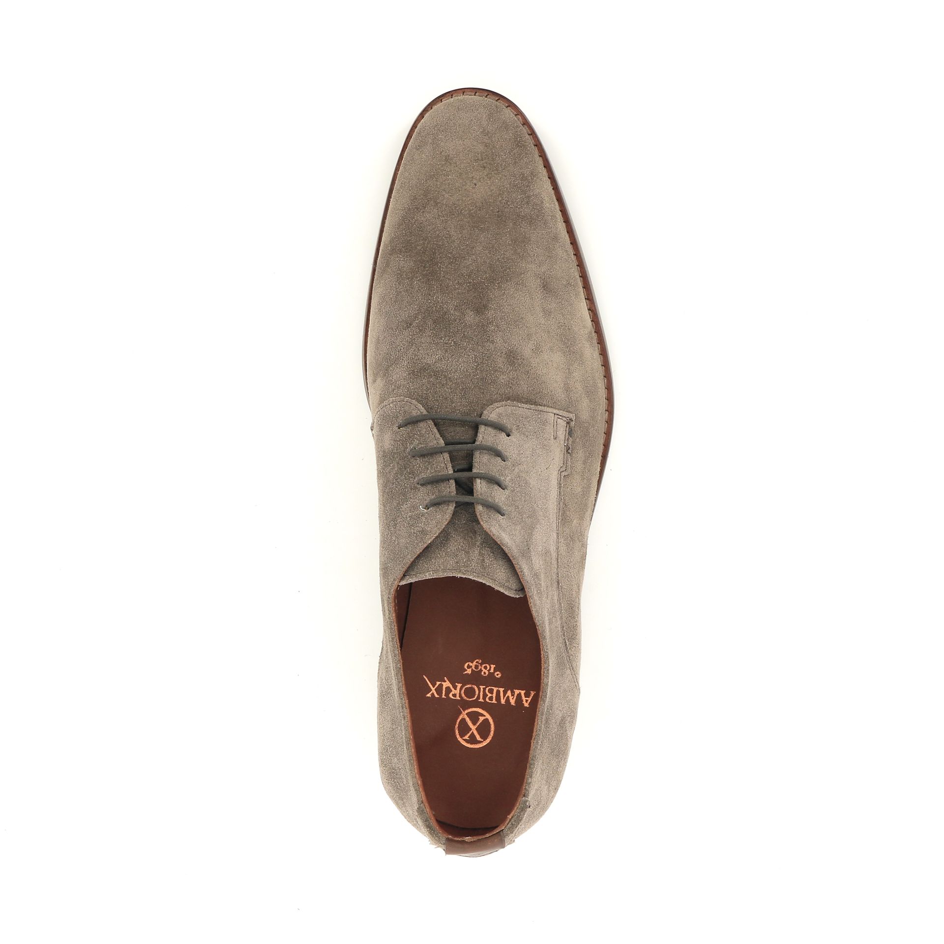 Ambiorix Jurassic 258806 taupe