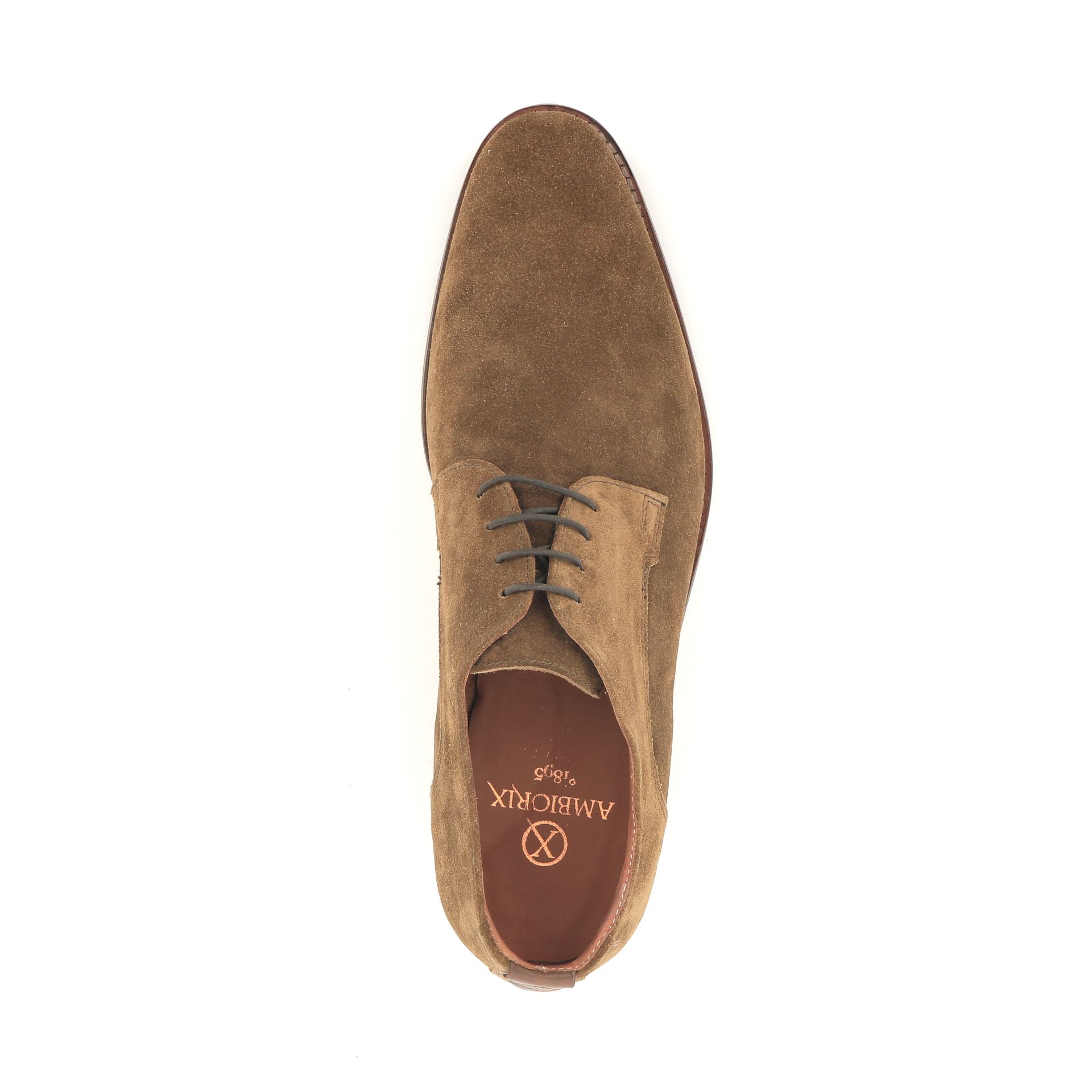 Ambiorix Jurassic 258807 cognac