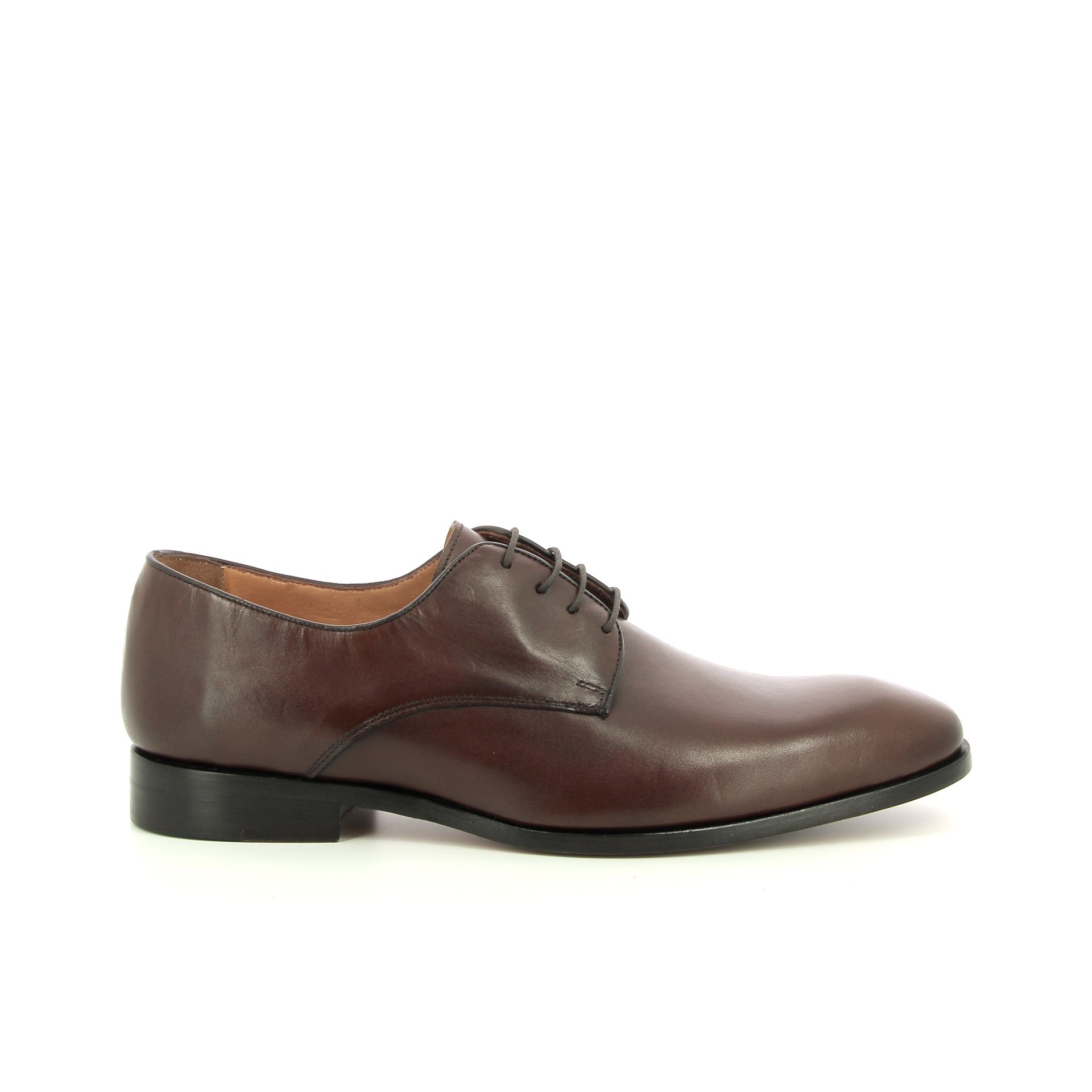 Ambiorix Palio 258809 bruin