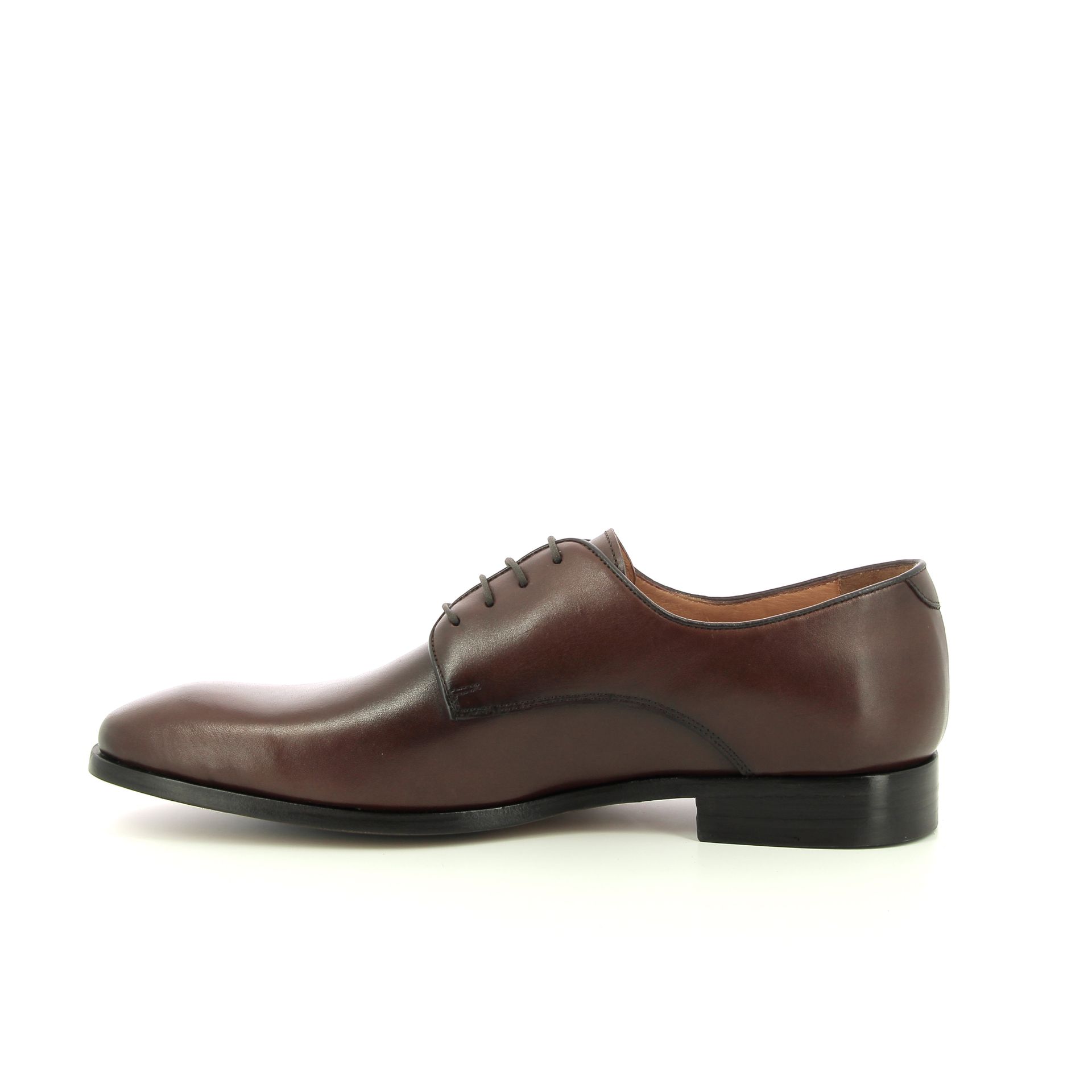 Ambiorix Palio 258809 bruin