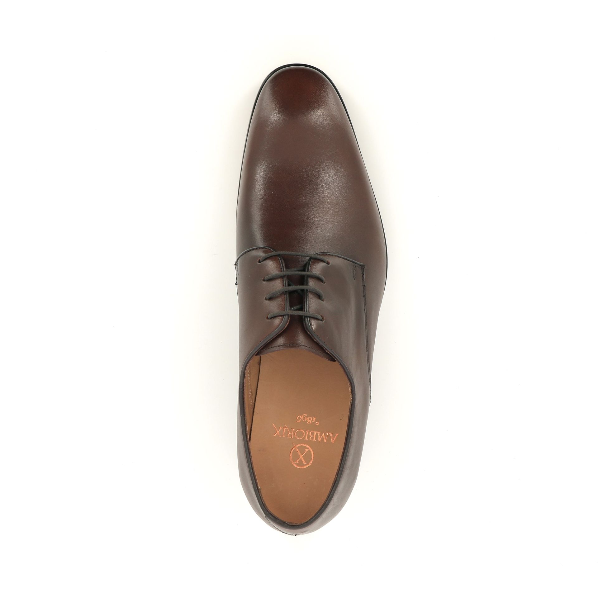 Ambiorix Palio 258809 bruin