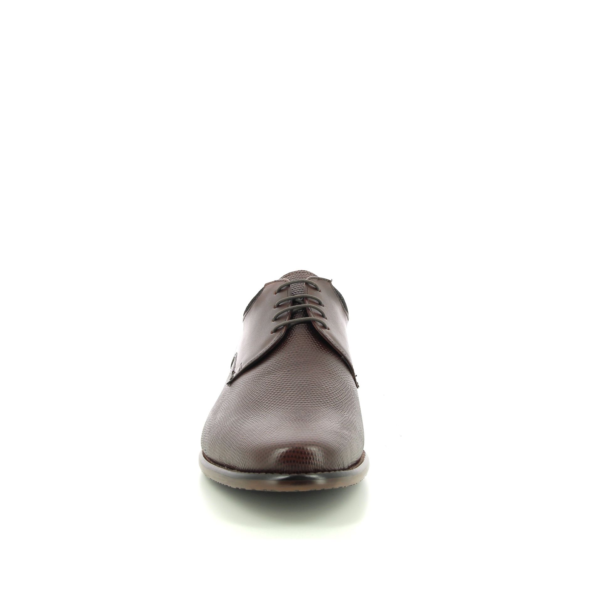 Ambiorix Aldo Sup 258812 bruin