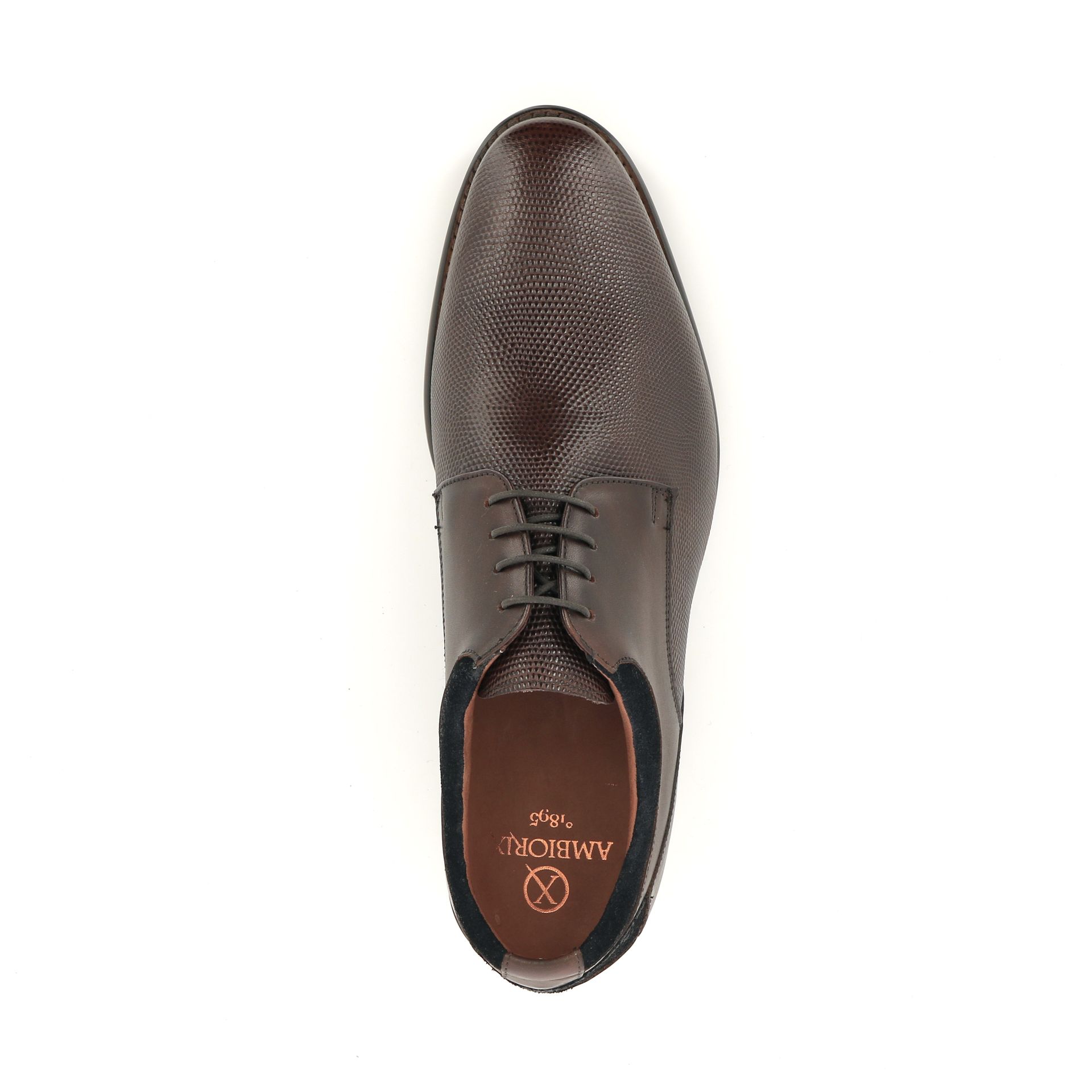 Ambiorix Aldo Sup 258812 bruin