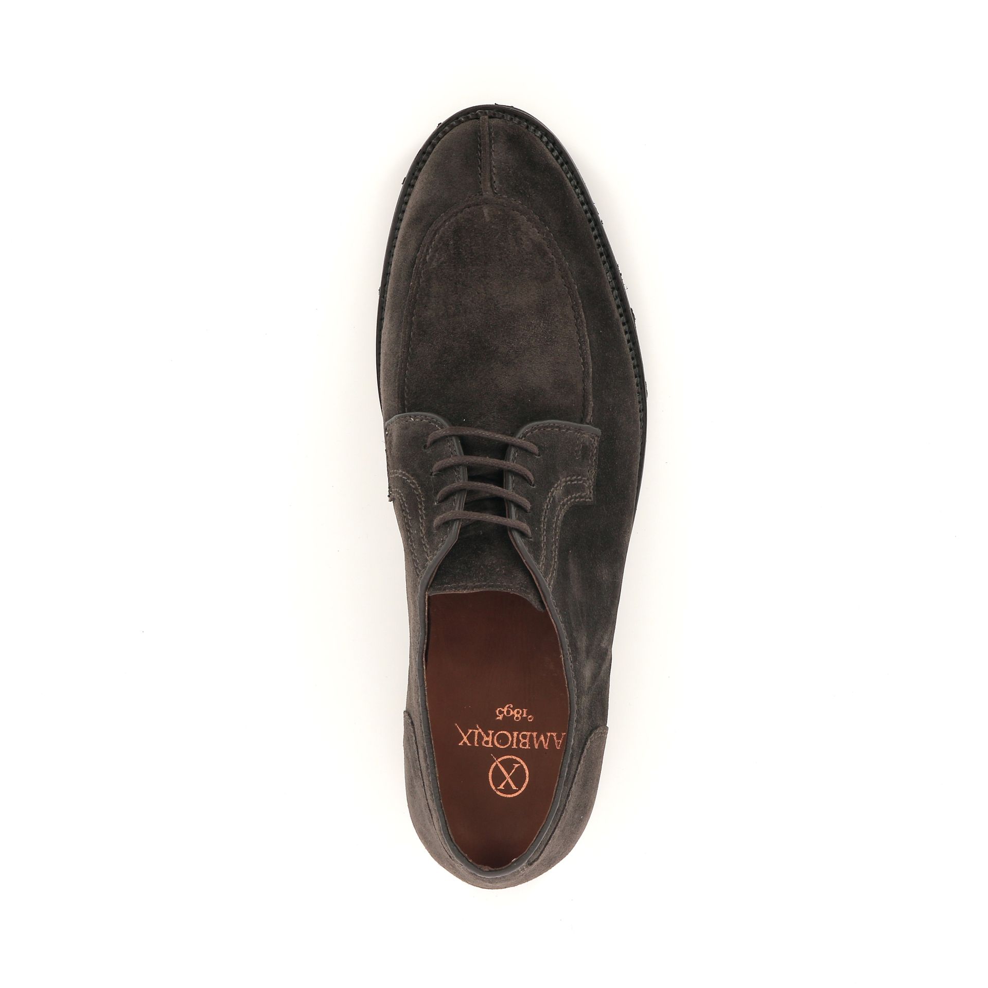 Ambiorix Novara Sup 258815 bruin