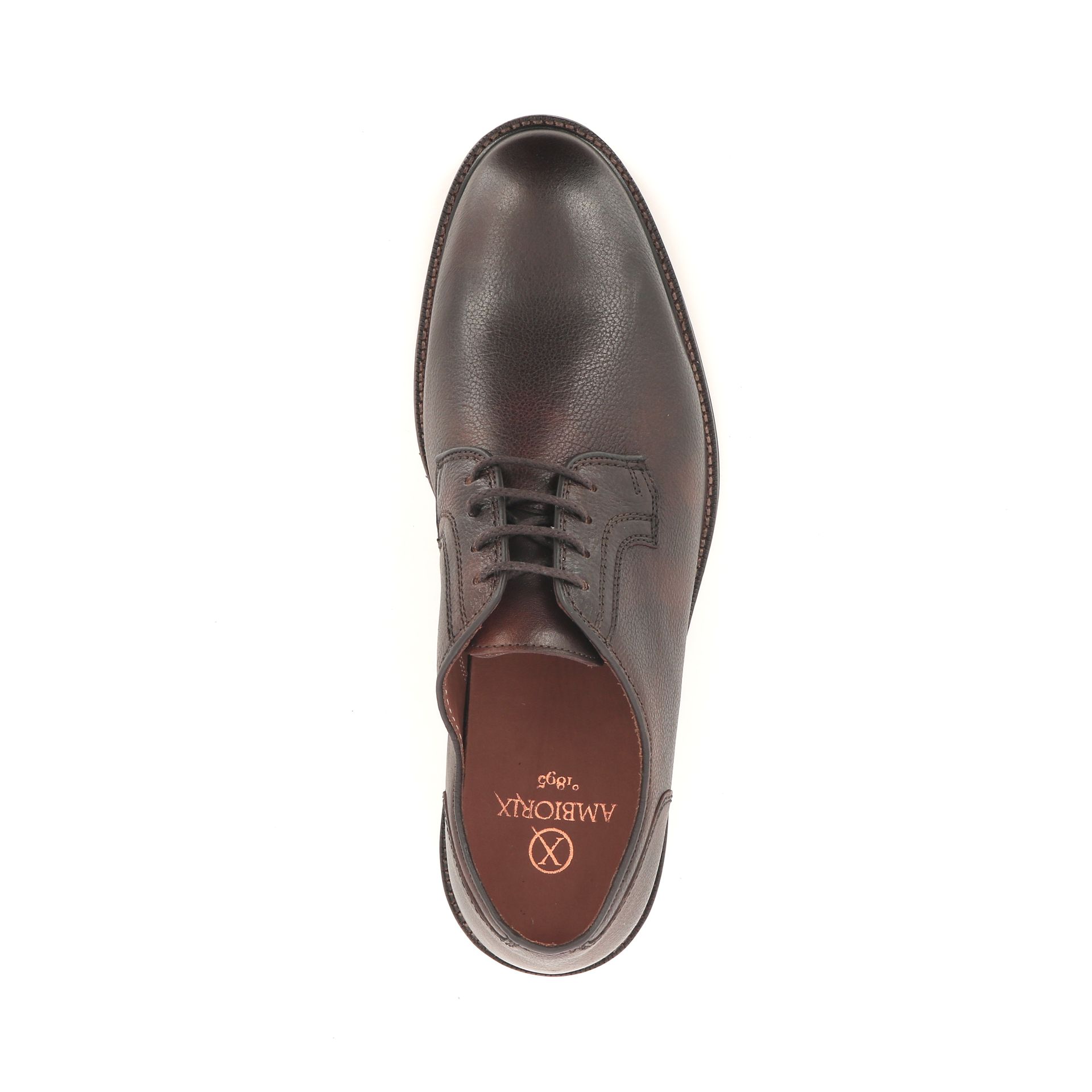 Ambiorix Nogaro Sup 258816 bruin