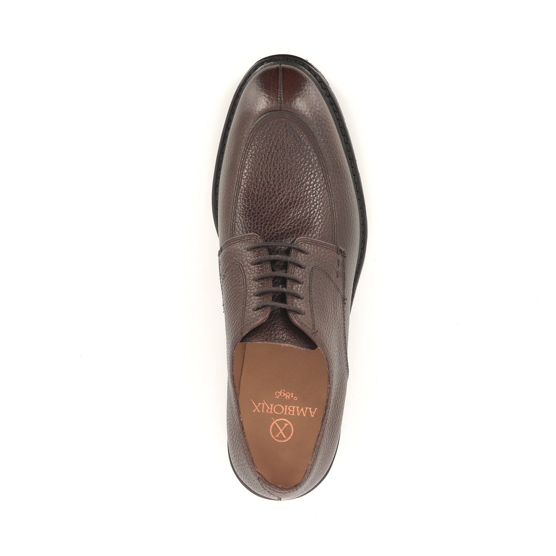 Ambiorix Gleason 258817 bruin