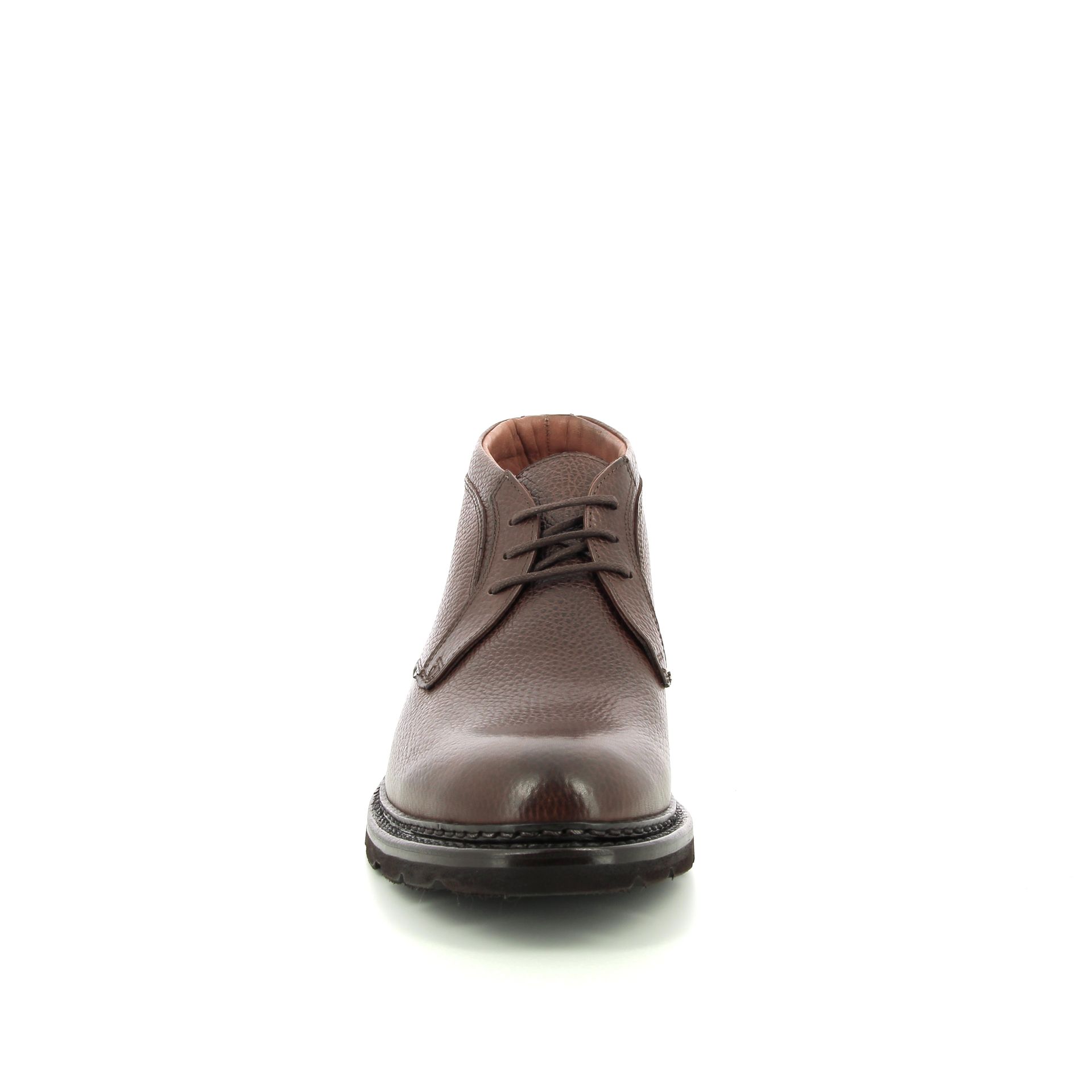 Ambiorix Jamal 258818 bruin