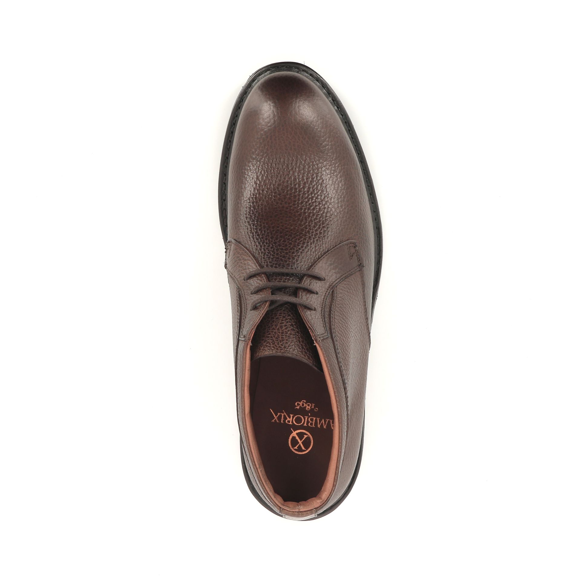Ambiorix Jamal 258818 bruin