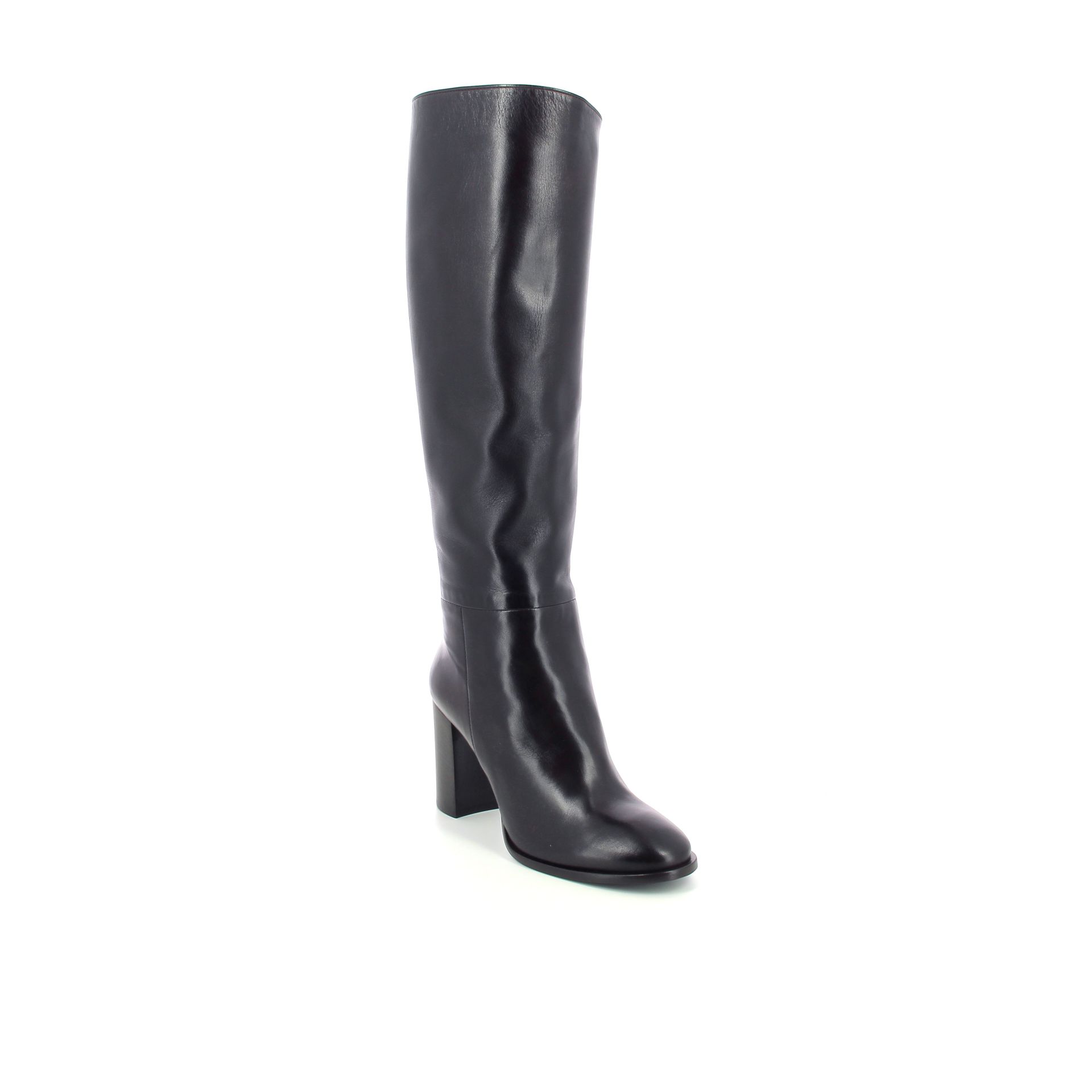 Guglielmo Rotta Mia 258904 bruin
