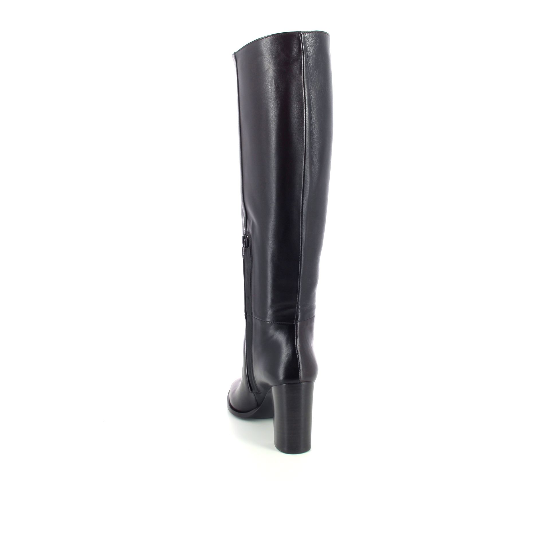 Guglielmo Rotta Mia 258904 bruin