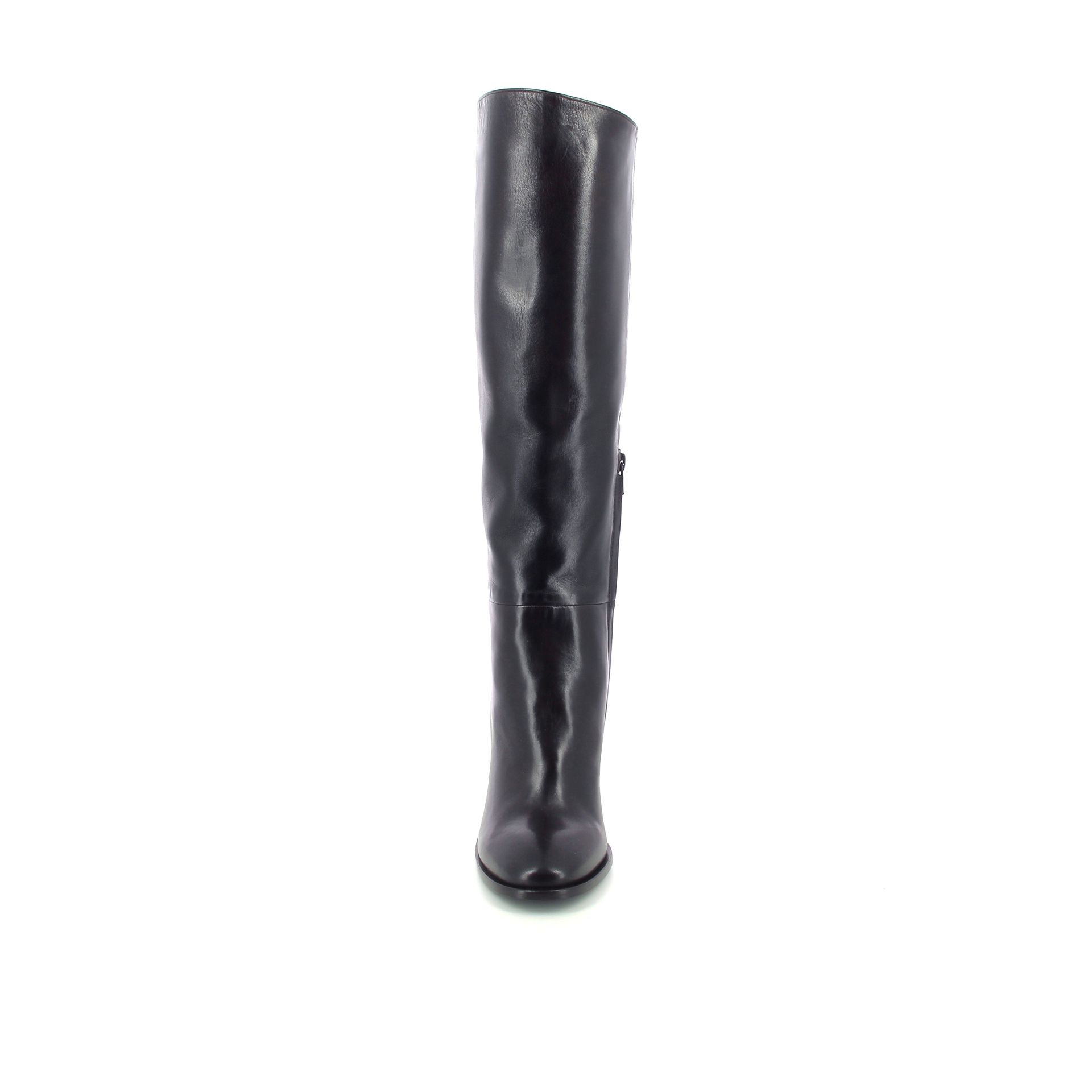 Guglielmo Rotta Mia 258904 bruin
