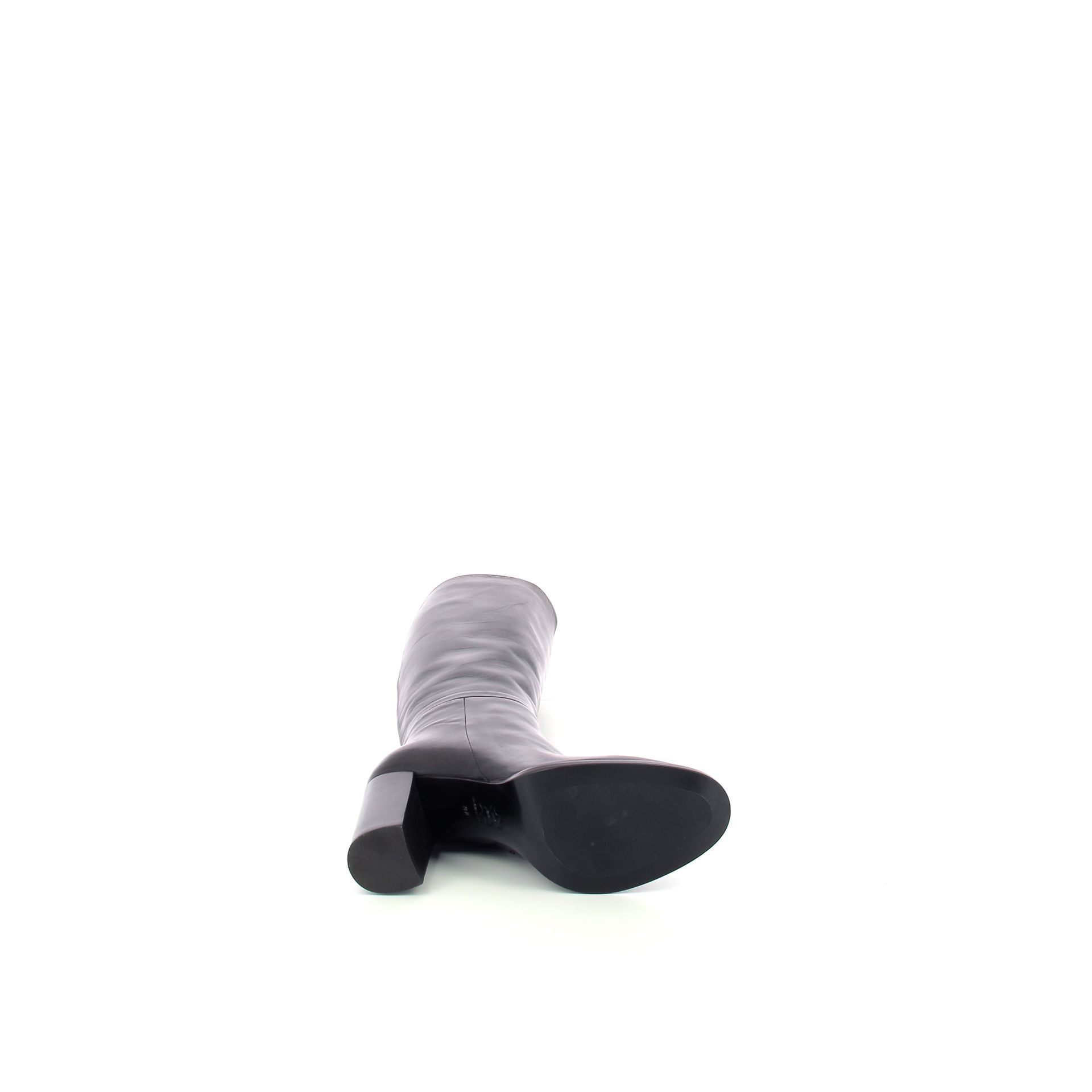 Guglielmo Rotta Mia 258904 bruin