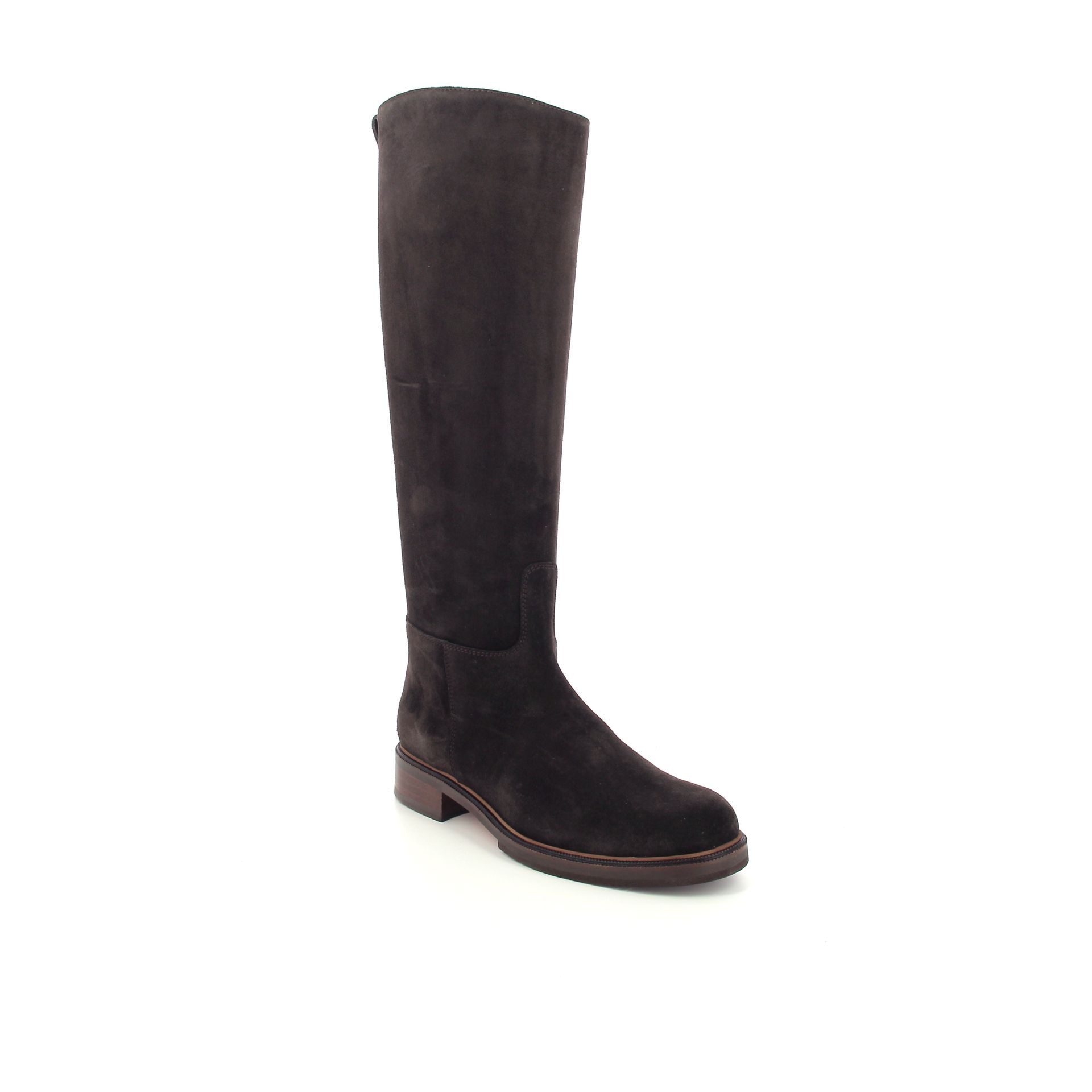 Pertini Laars 258920 bruin