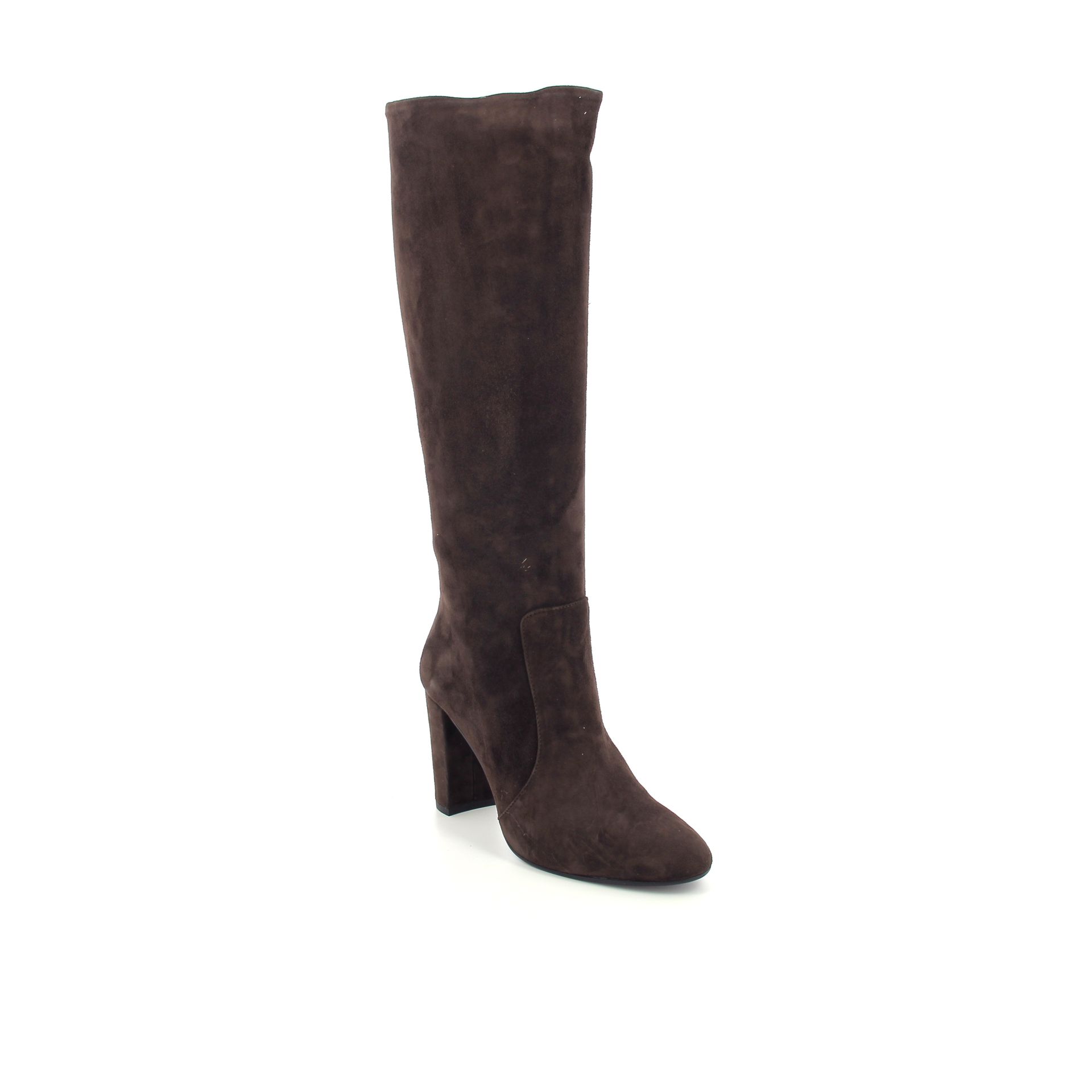 Julie Dee Laars 258955 bruin