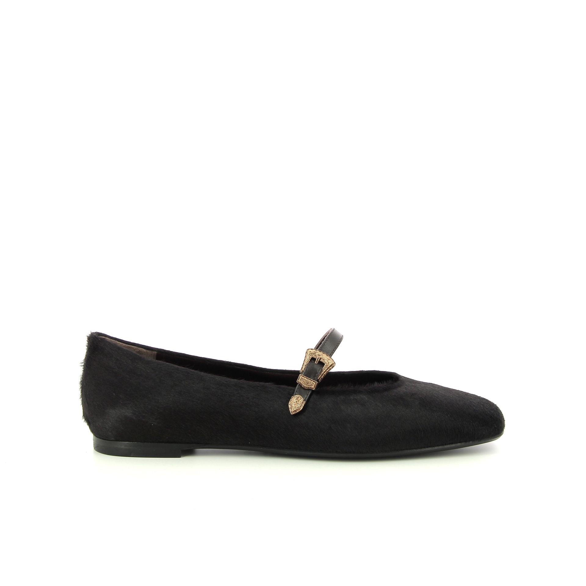 Roberto Festa Grisel 258975 bruin