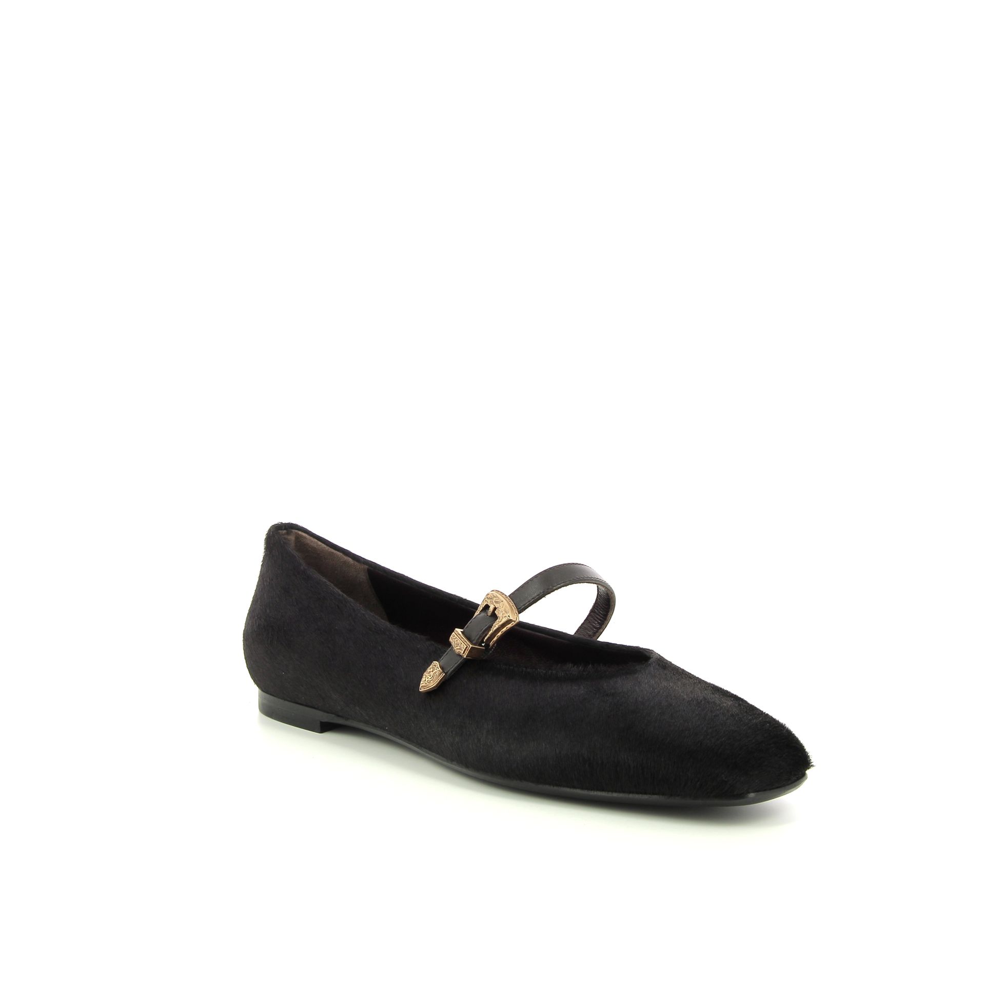 Roberto Festa Grisel 258975 bruin