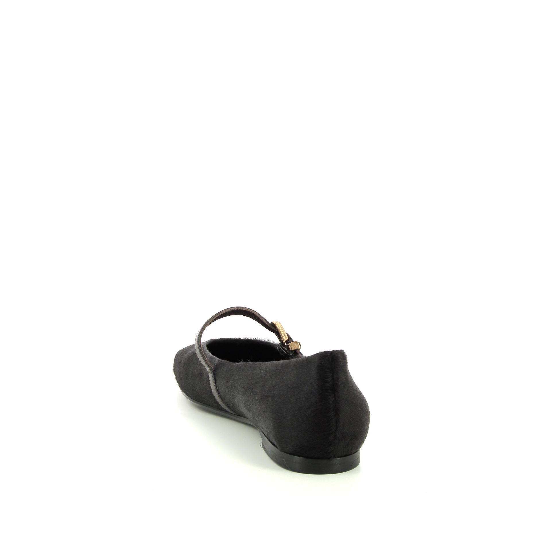 Roberto Festa Grisel 258975 bruin