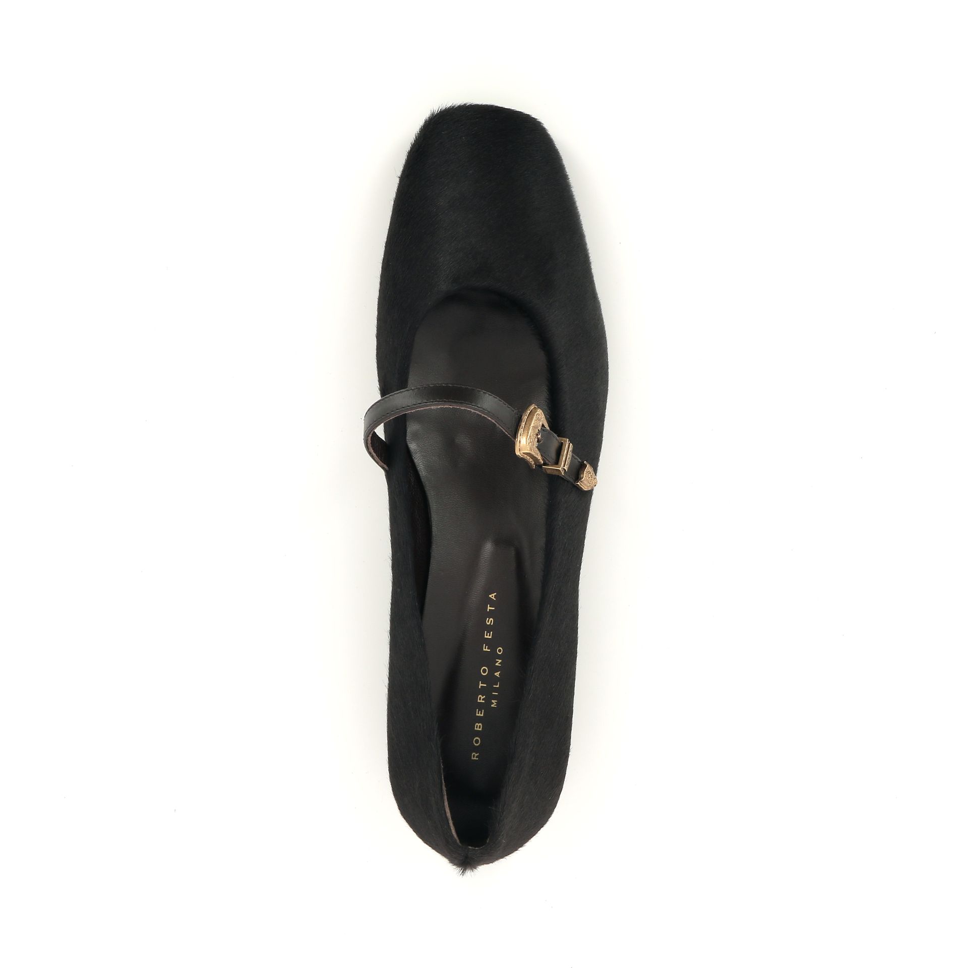 Roberto Festa Grisel 258975 bruin
