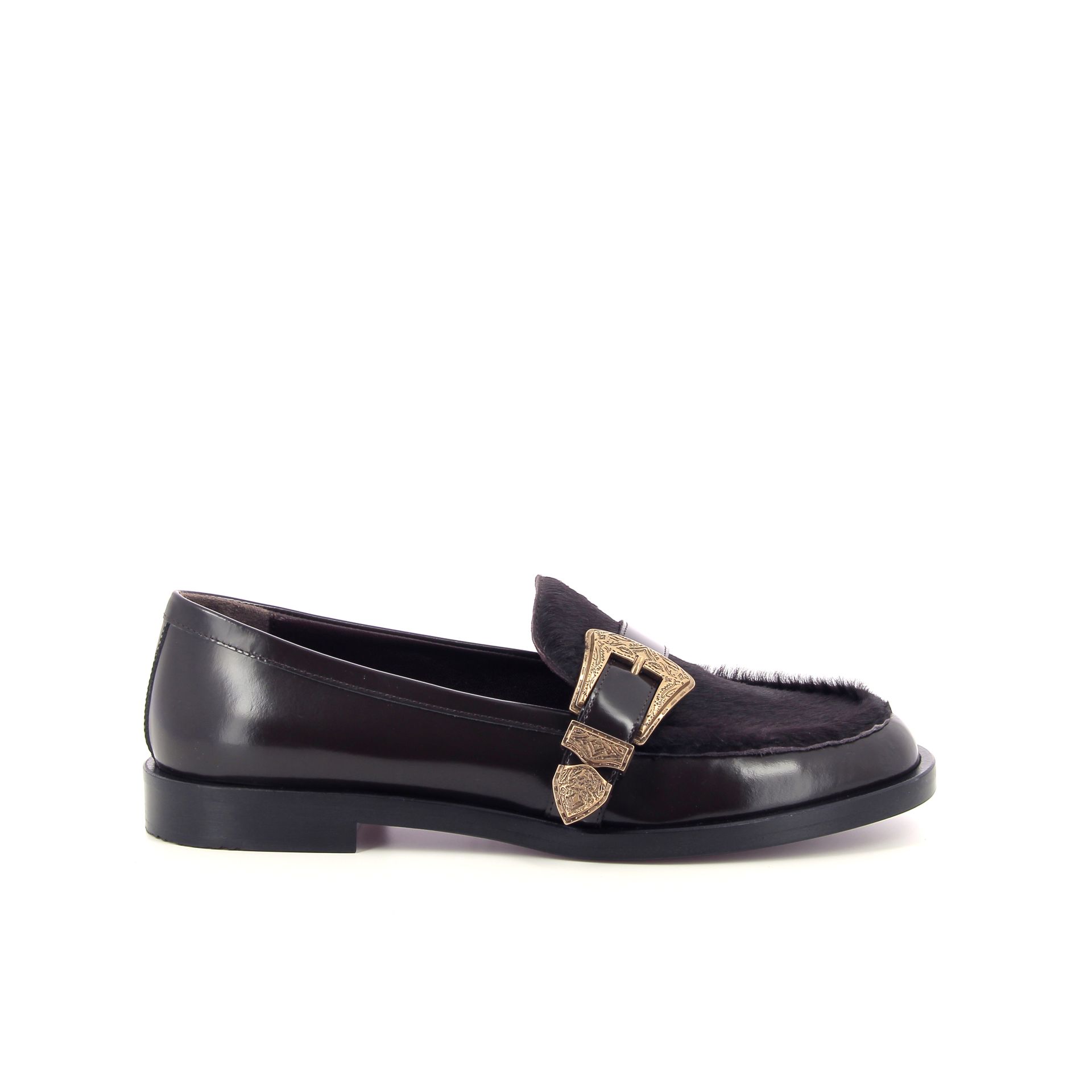 Roberto Festa Lira 258976 bruin