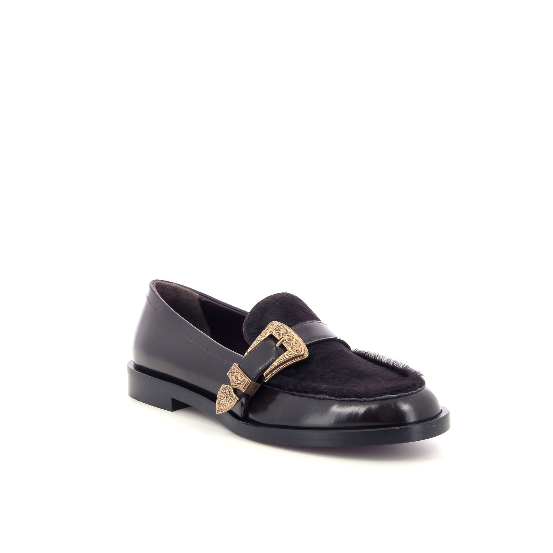 Roberto Festa Lira 258976 bruin