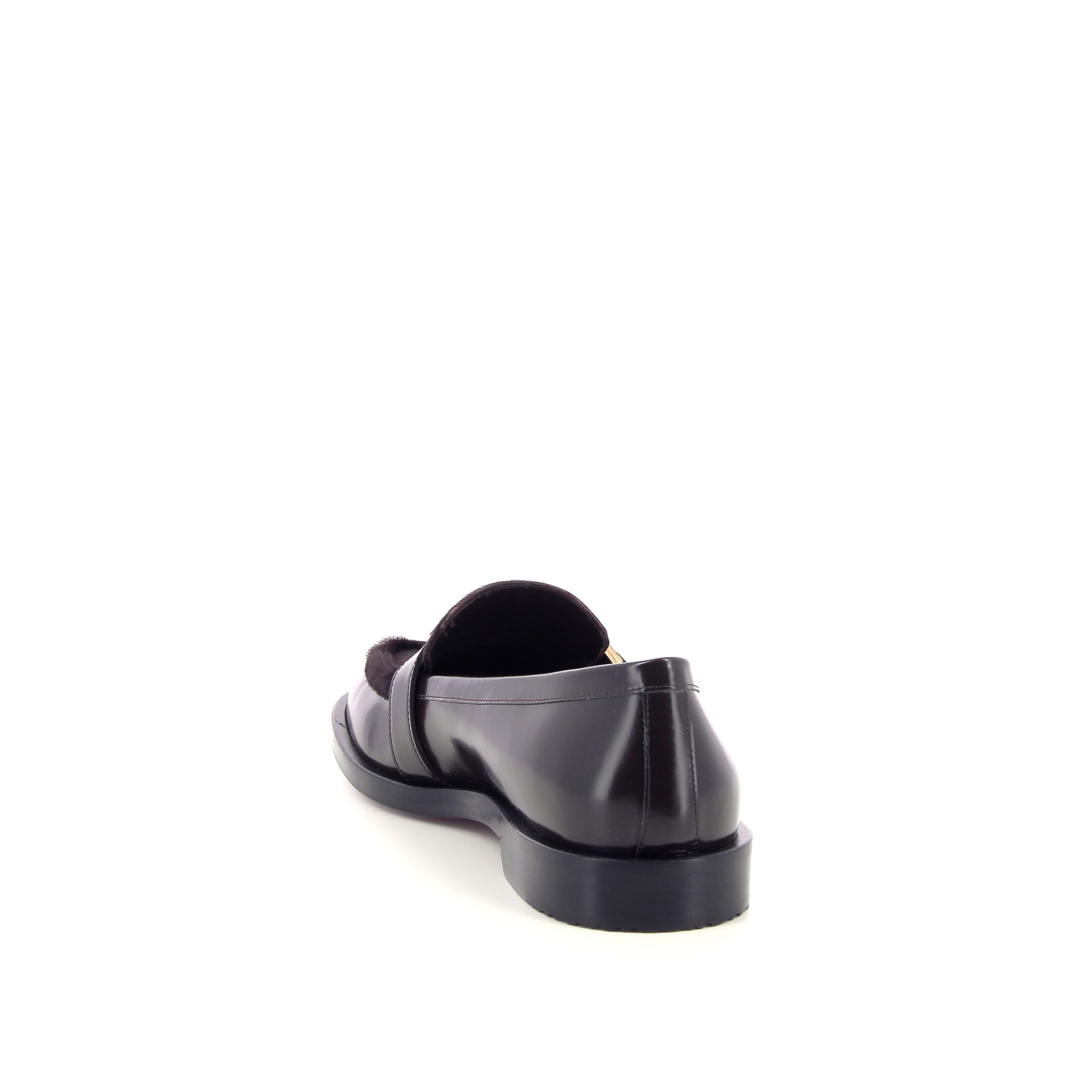 Roberto Festa Lira 258976 bruin