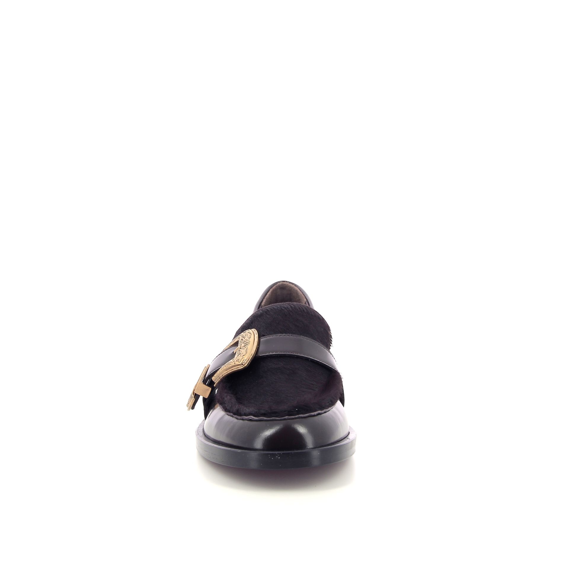 Roberto Festa Lira 258976 bruin