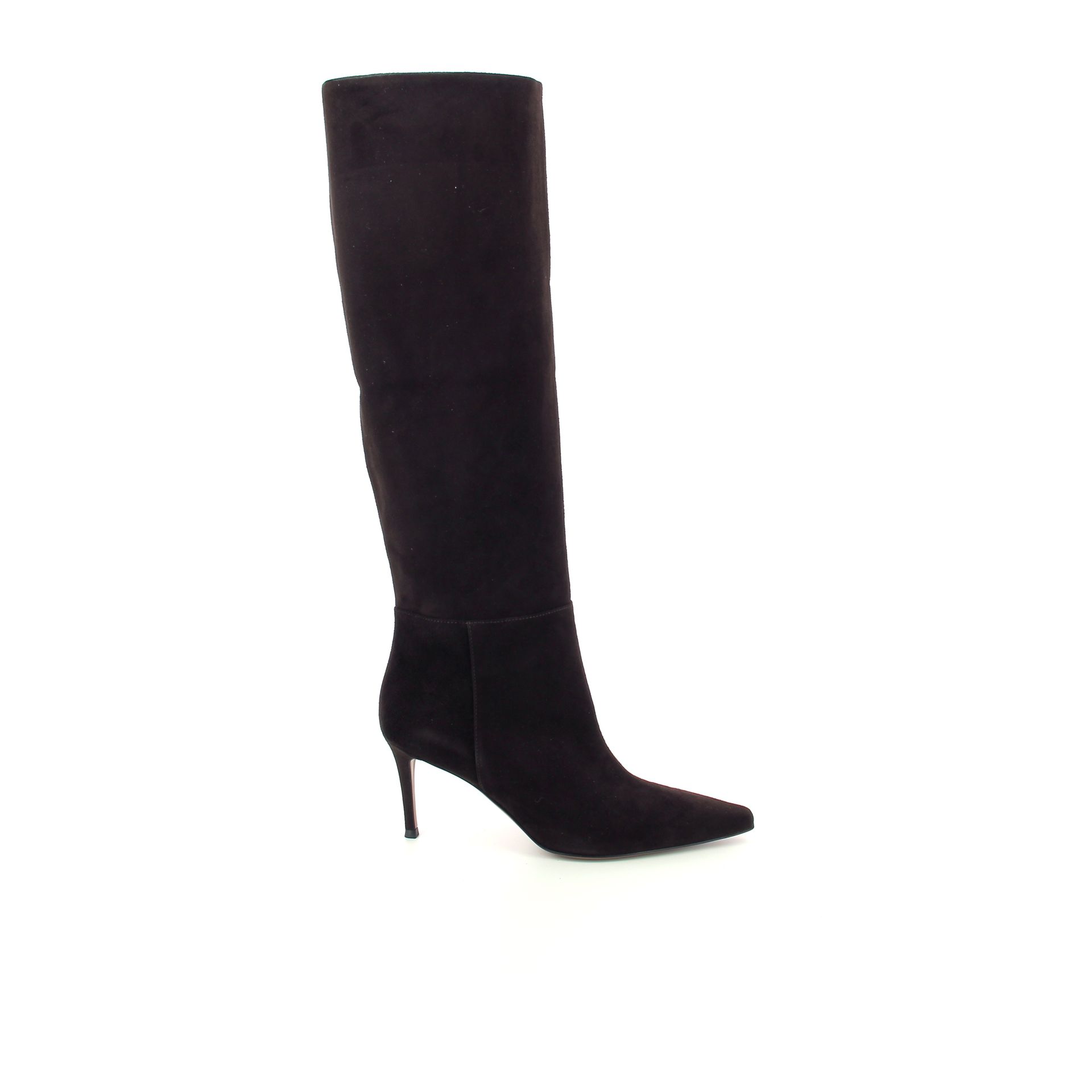 Roberto Festa Thea 258982 bruin