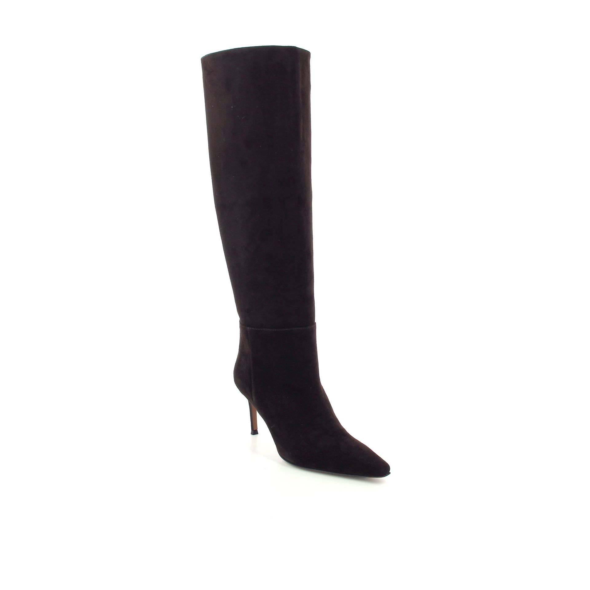 Roberto Festa Thea 258982 bruin