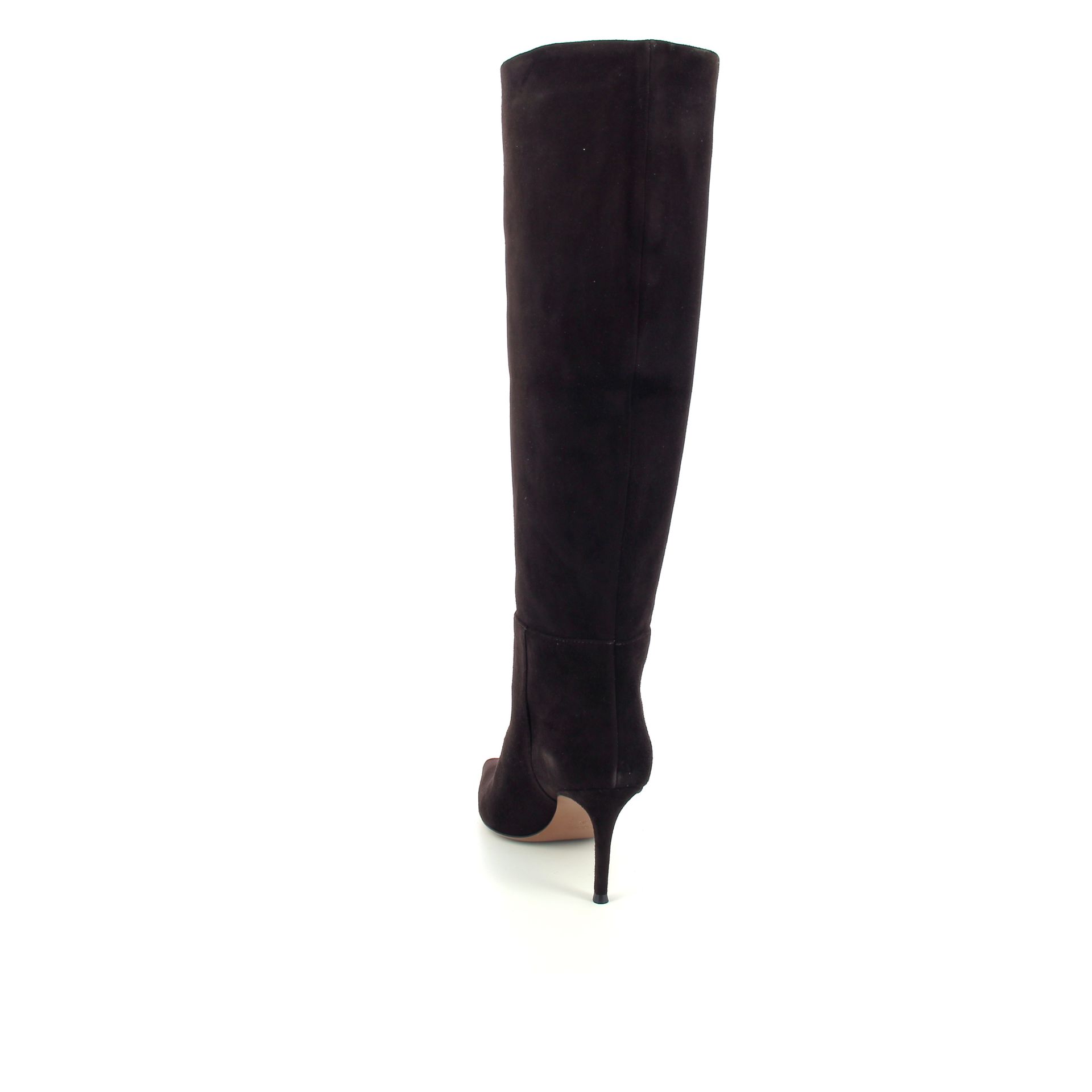 Roberto Festa Thea 258982 bruin