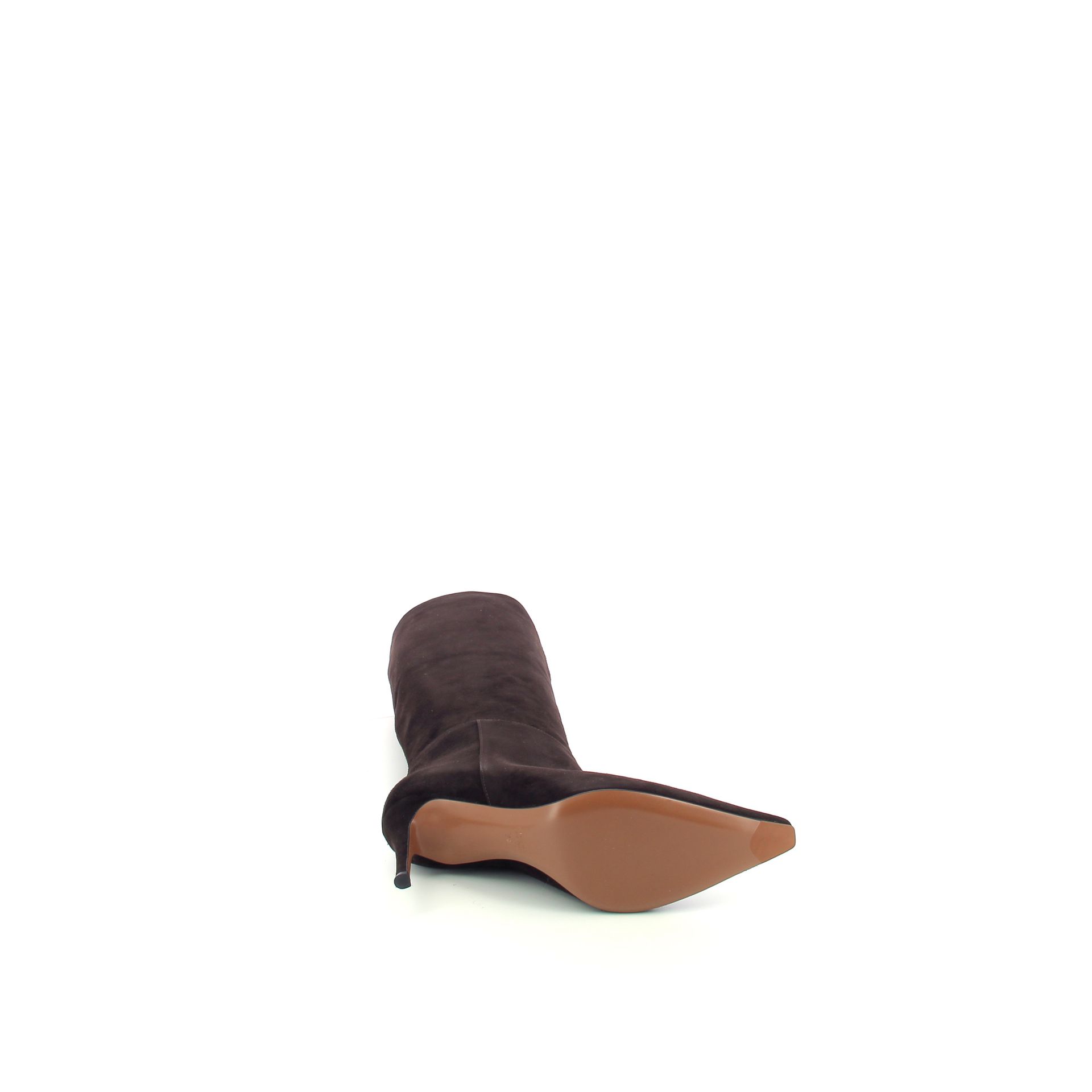 Roberto Festa Thea 258982 bruin