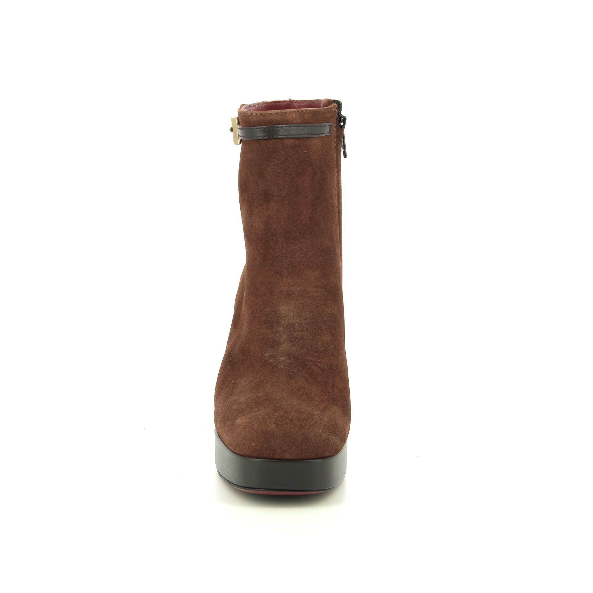 Festa Averia 258988 cognac