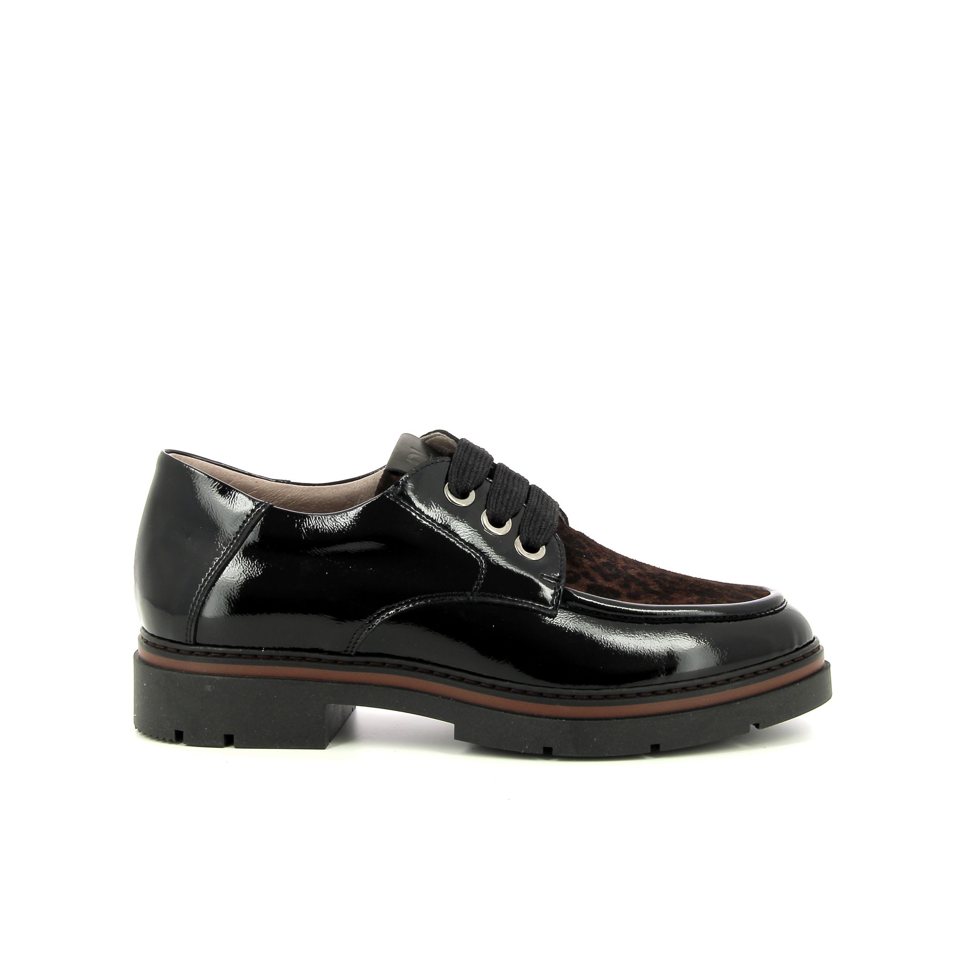 Dl Sport Veterschoen 259288 zwart