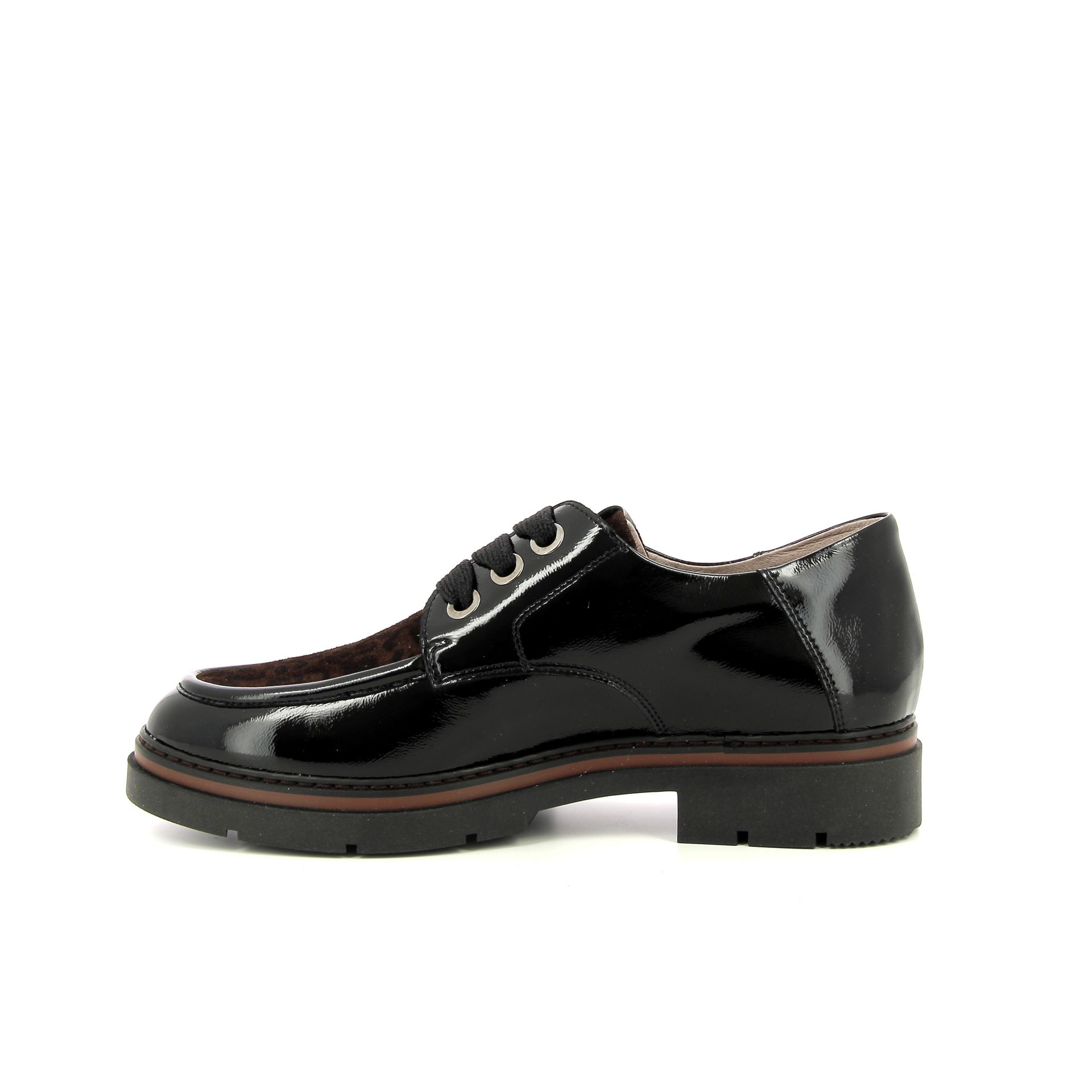 Dl Sport Veterschoen 259288 zwart